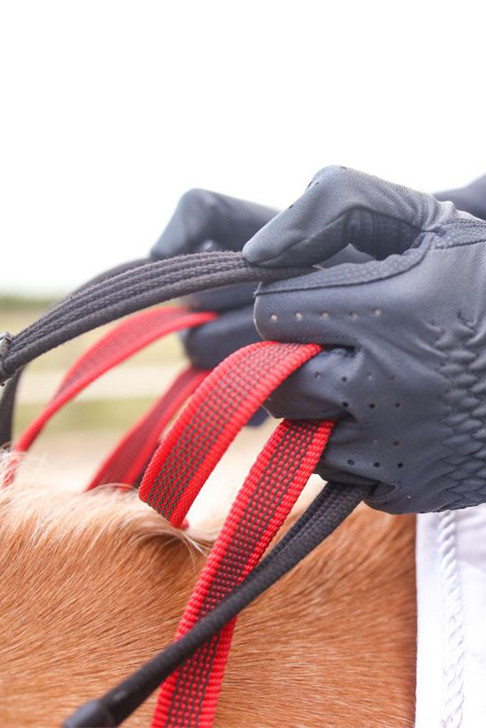 Waldhausen Secutrust Borsttuig met veiligheidstouwen