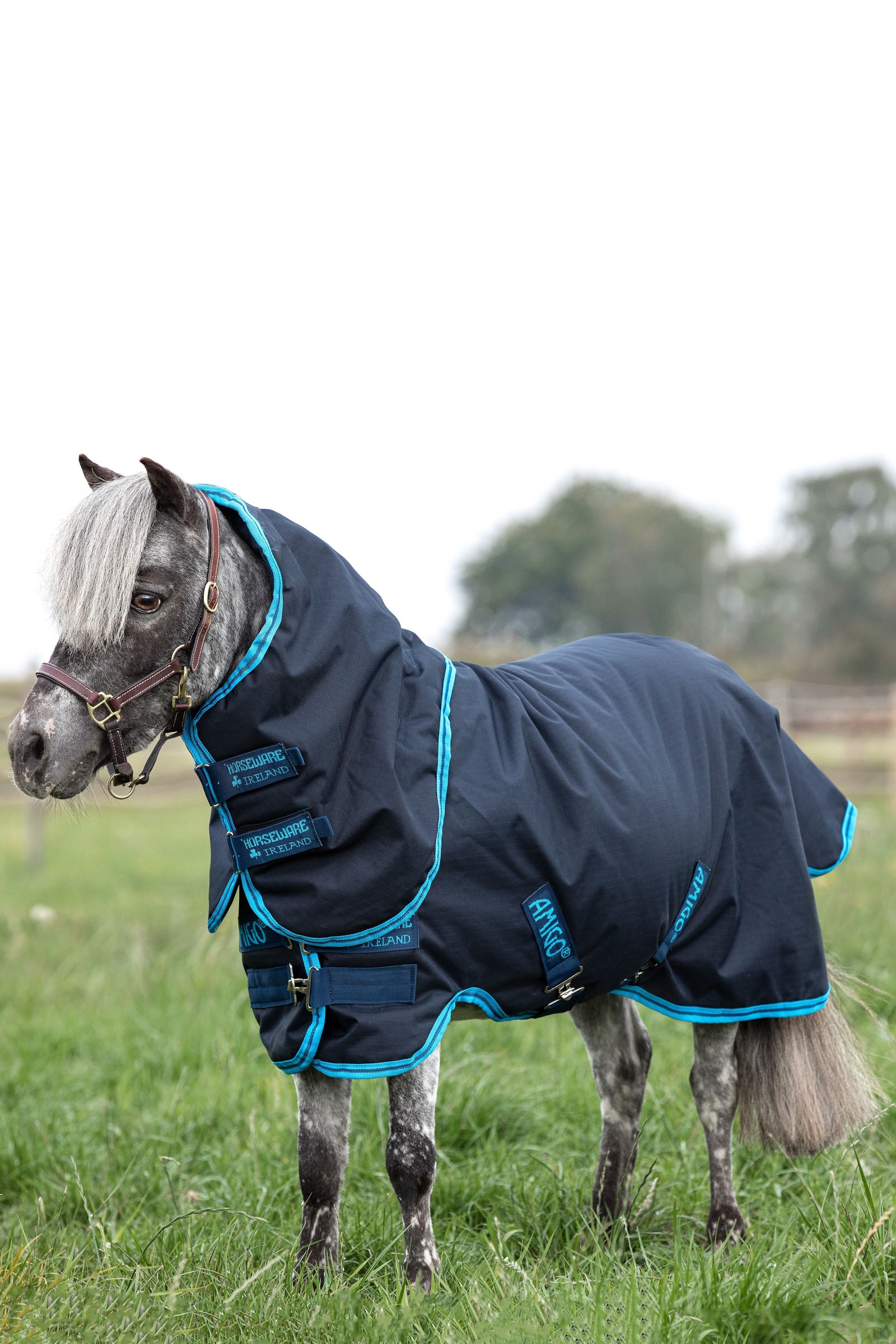 Horseware Amigo Hero 6 Petite Plus Regendeken, 200 grams, met afneembare hals