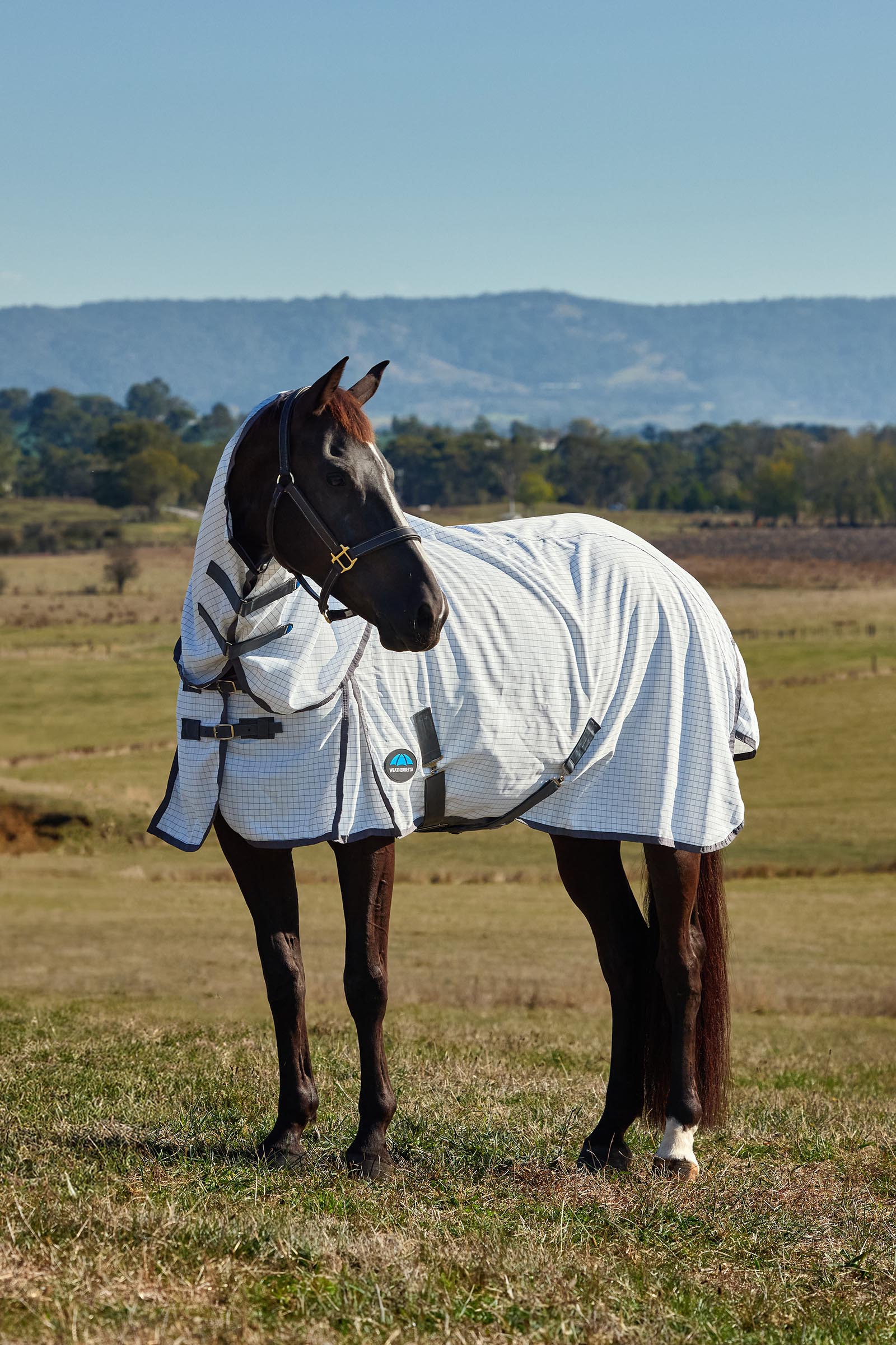 Weatherbeeta Hybrid deken combo met vaste hals, 0 g  