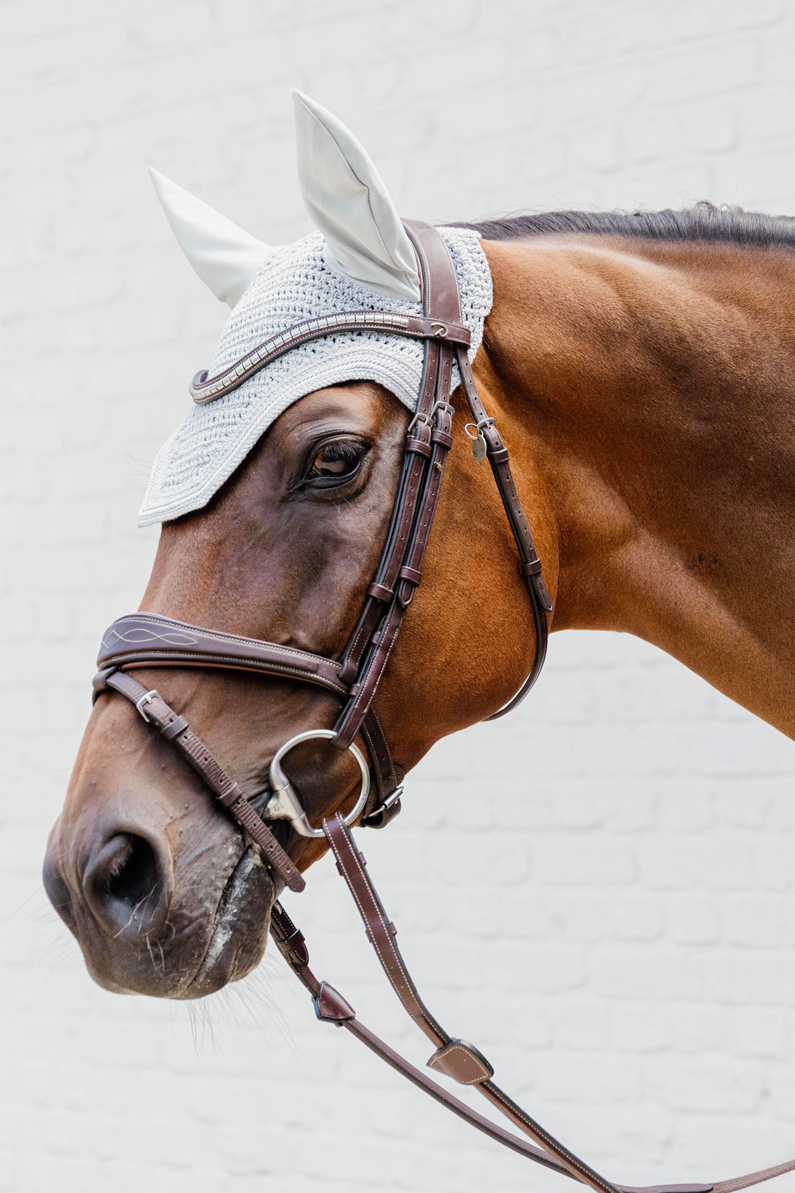 Kentucky Horsewear oornetje Wellington Diamond Rope Soundless