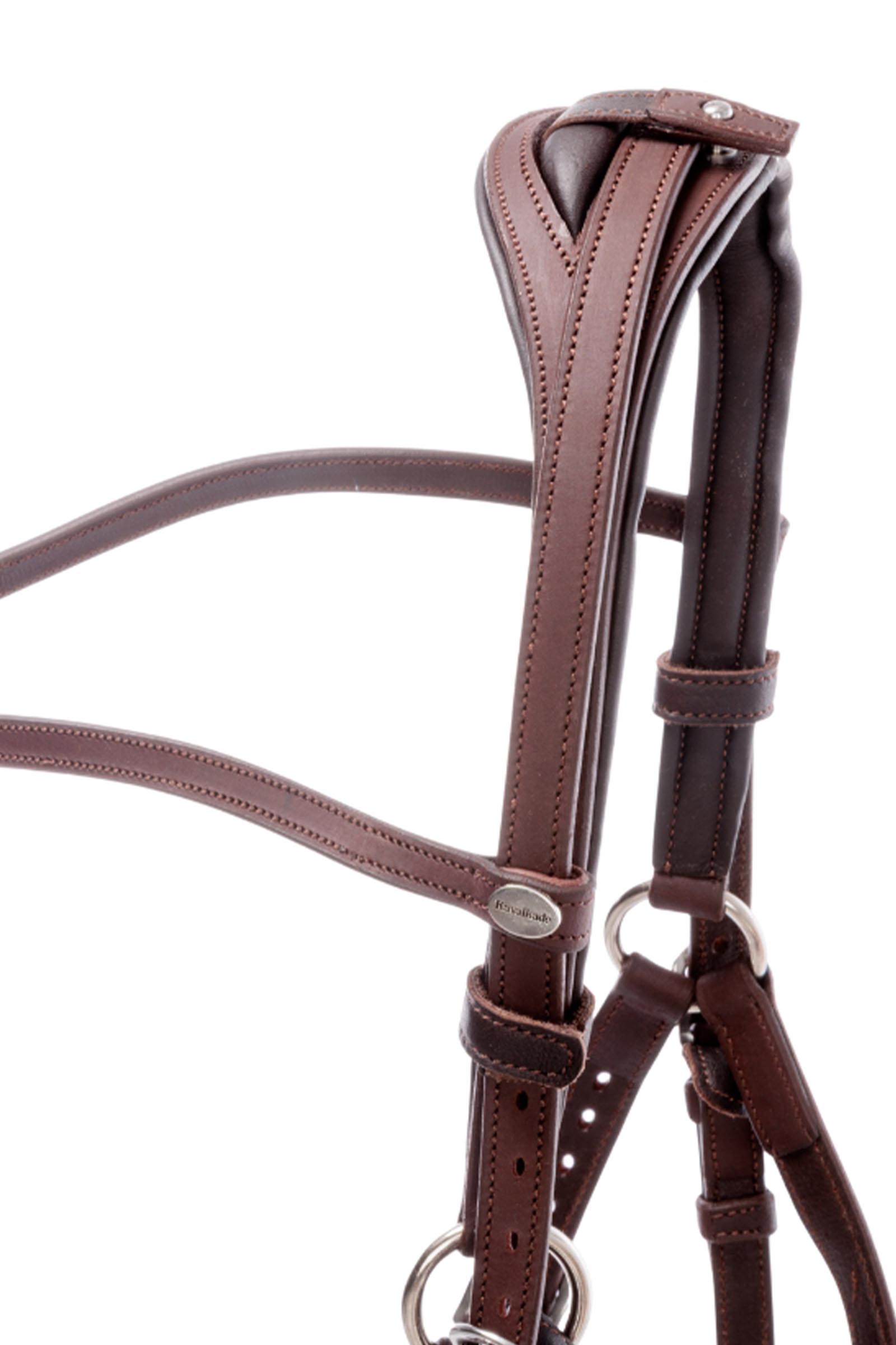 Kavalkade Artemis trektocht hoofdstel