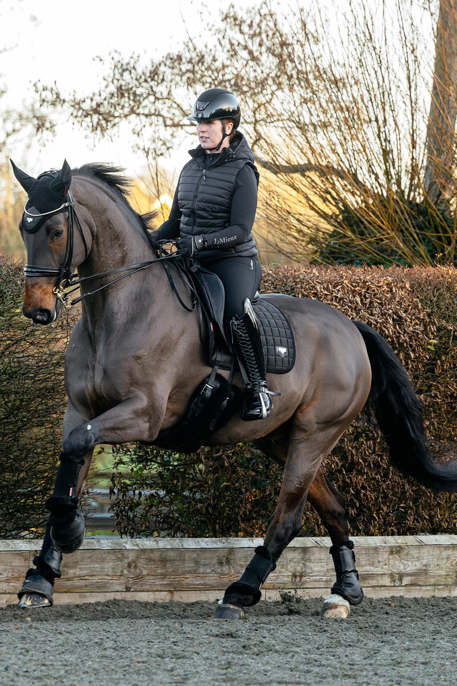 LeMieux Loire dressuurschabrak