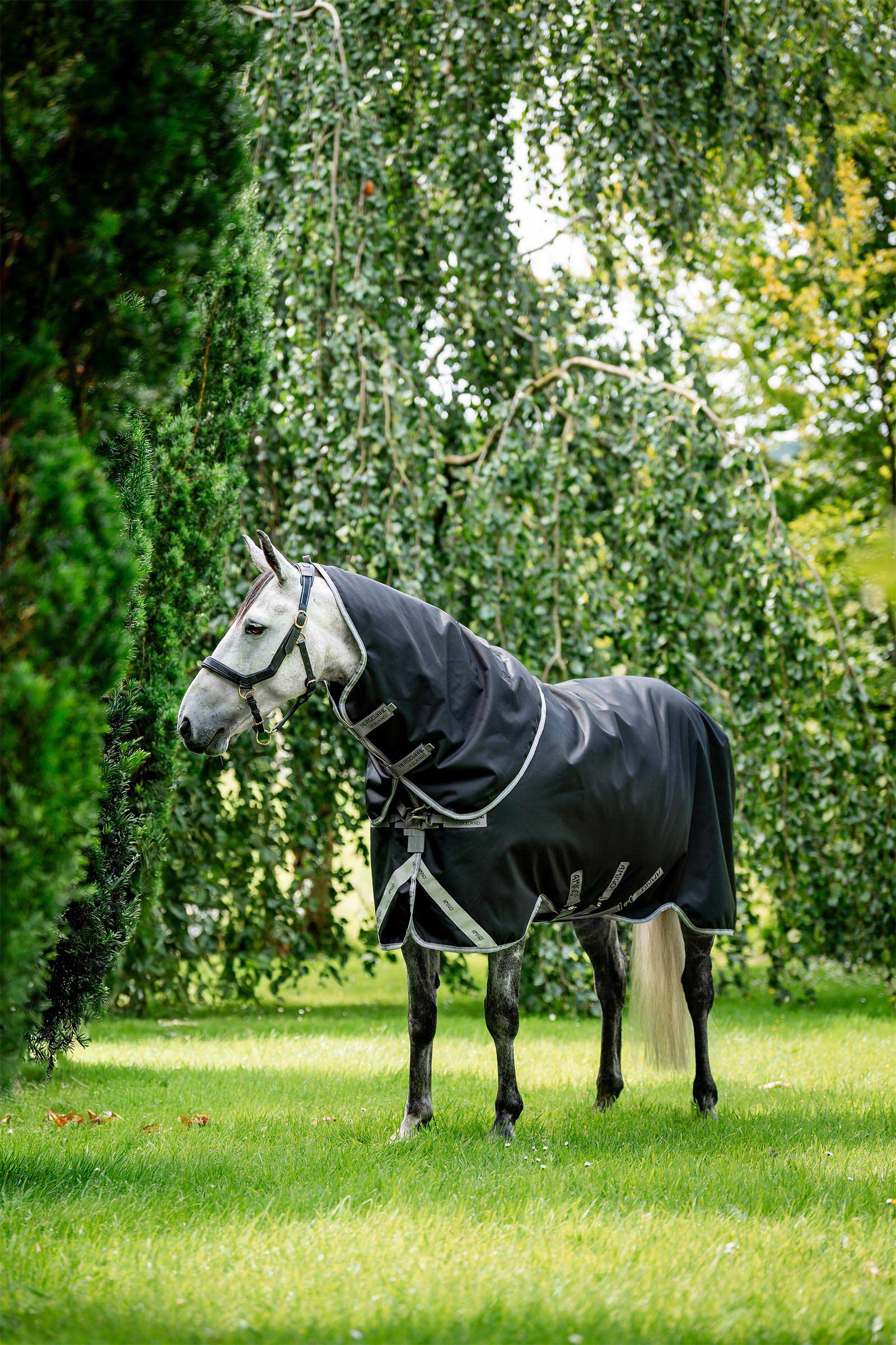 Black/Titanium Grey & Silver Horseware Amigo Bravo 12 Plus outdoordeken met afneembare hals, 400g