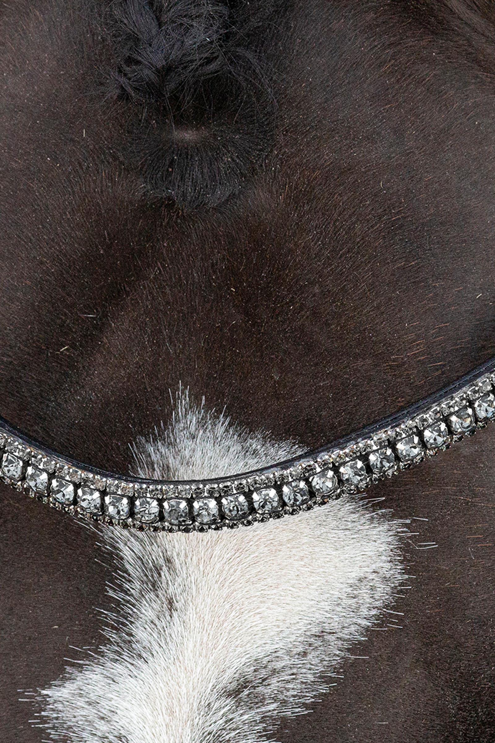 Schockem&ouml;hle Sports Brindisi Stang en trens Hoofdstel