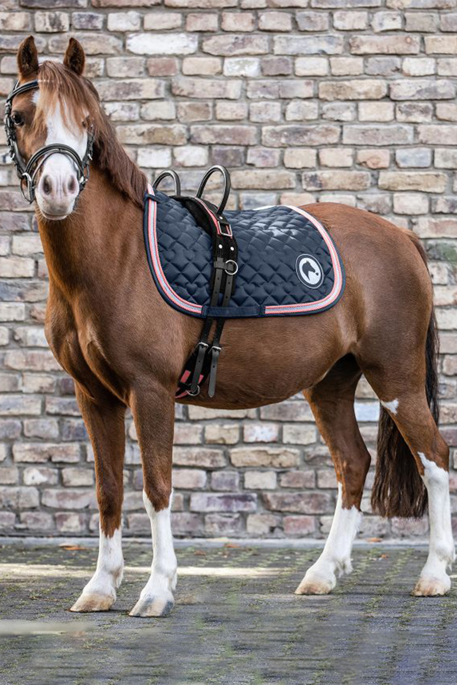 Waldhausen Singel met twee handvatten