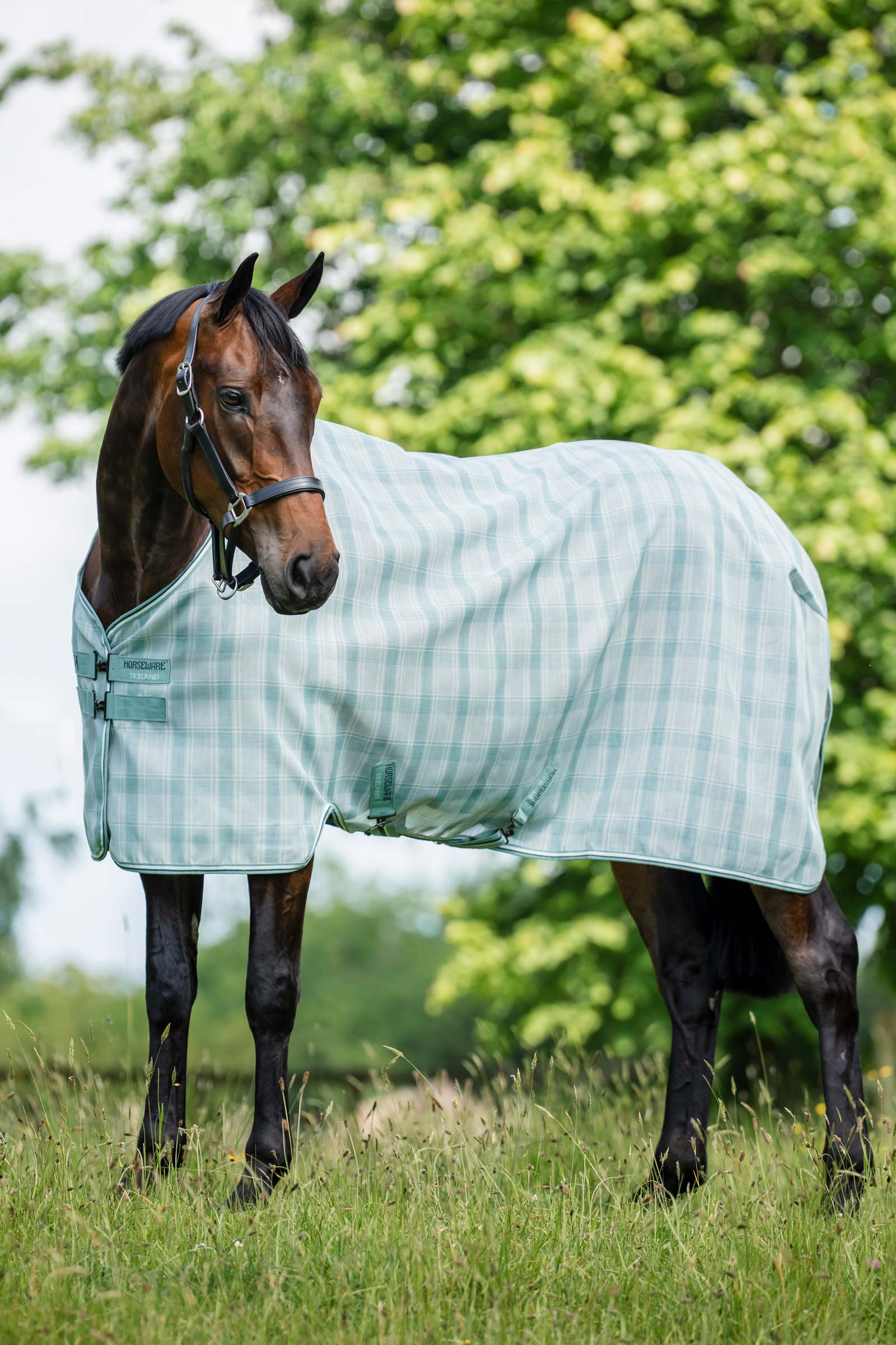 Horseware Newmarket vliegendeken met UV-bescherming