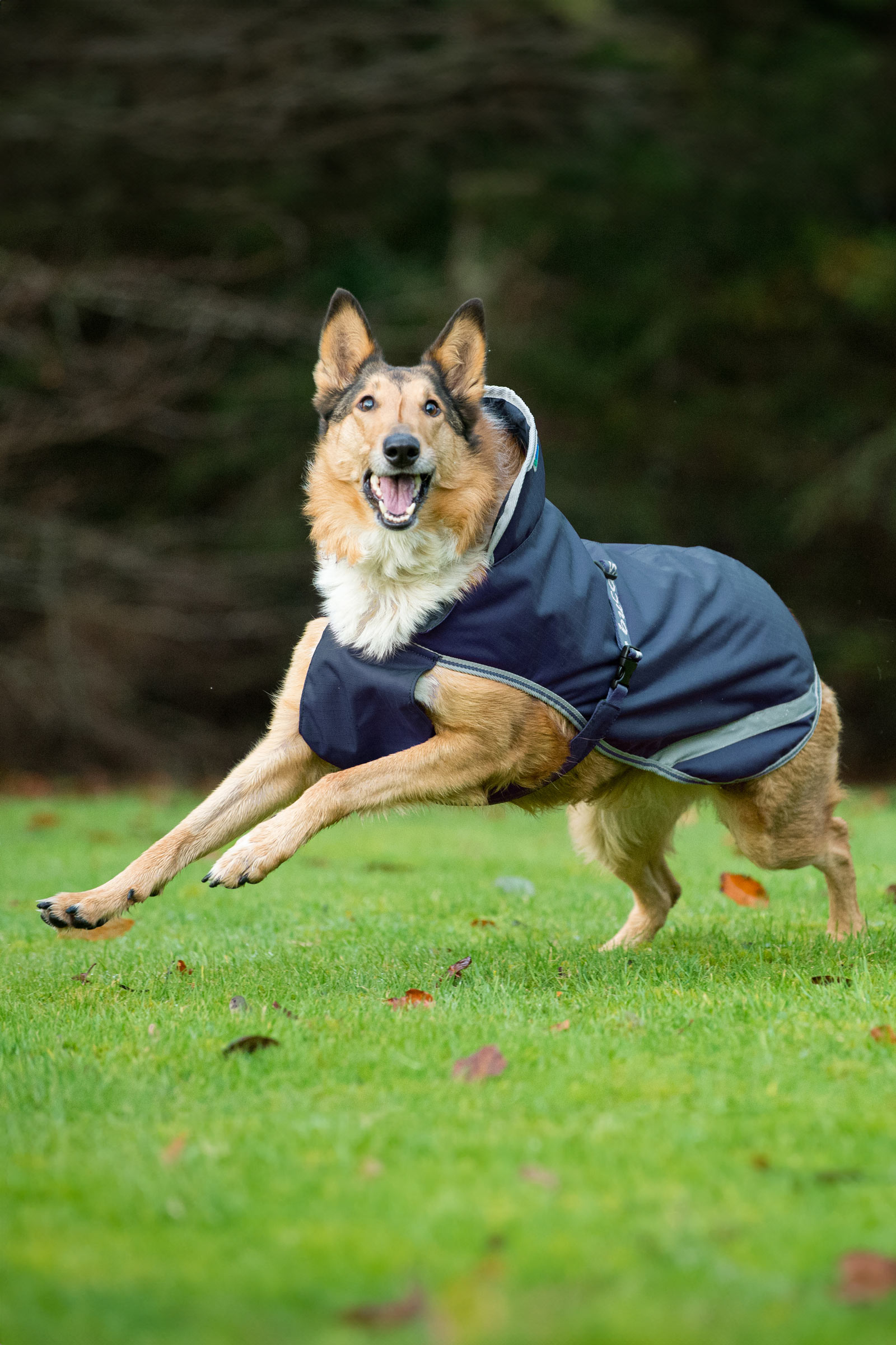 Bucas Freedom Hondendeken, 50g (50-75 cm)