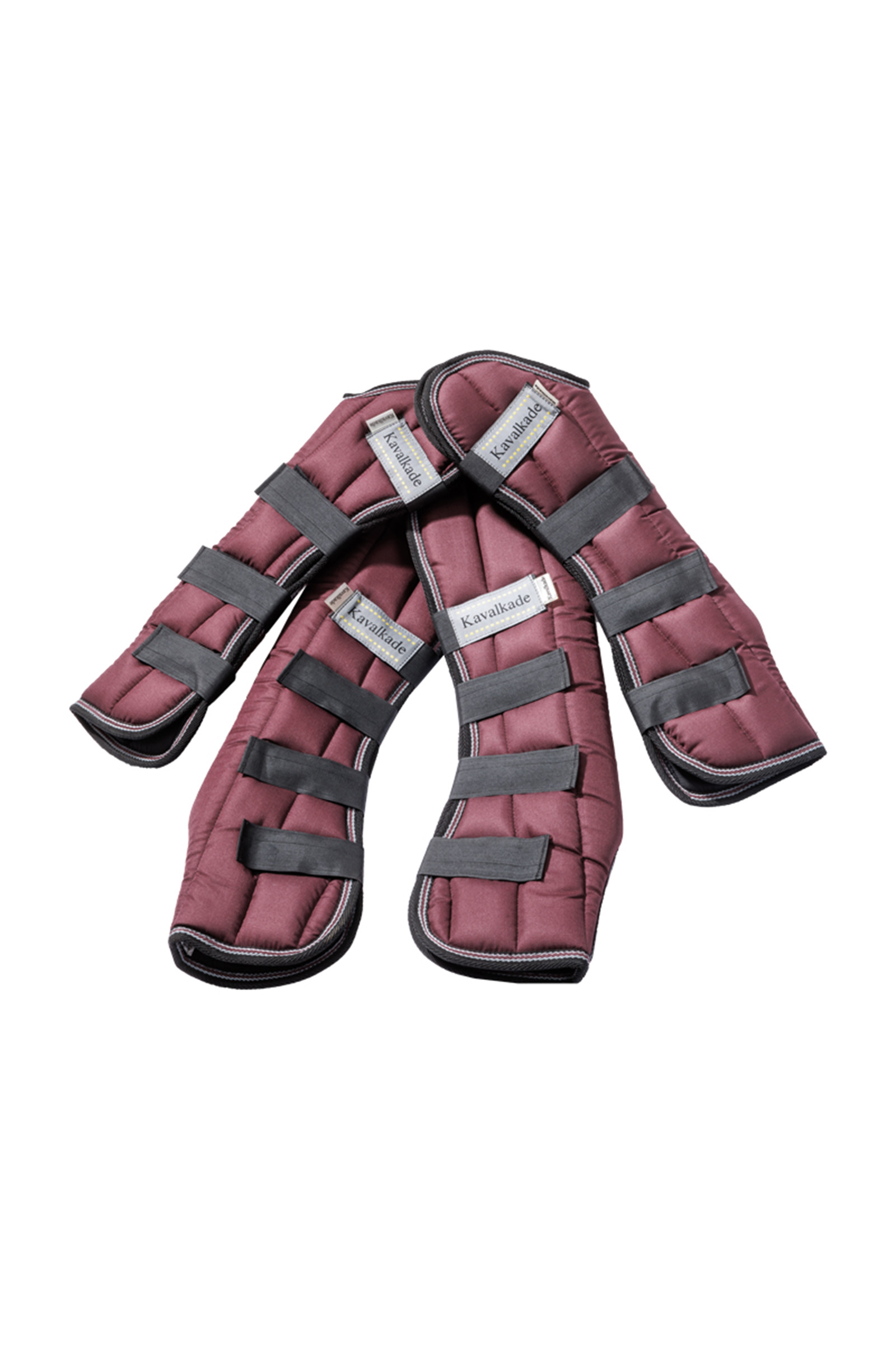 Bordeaux Kavalkade Montreal Transportbeschermers