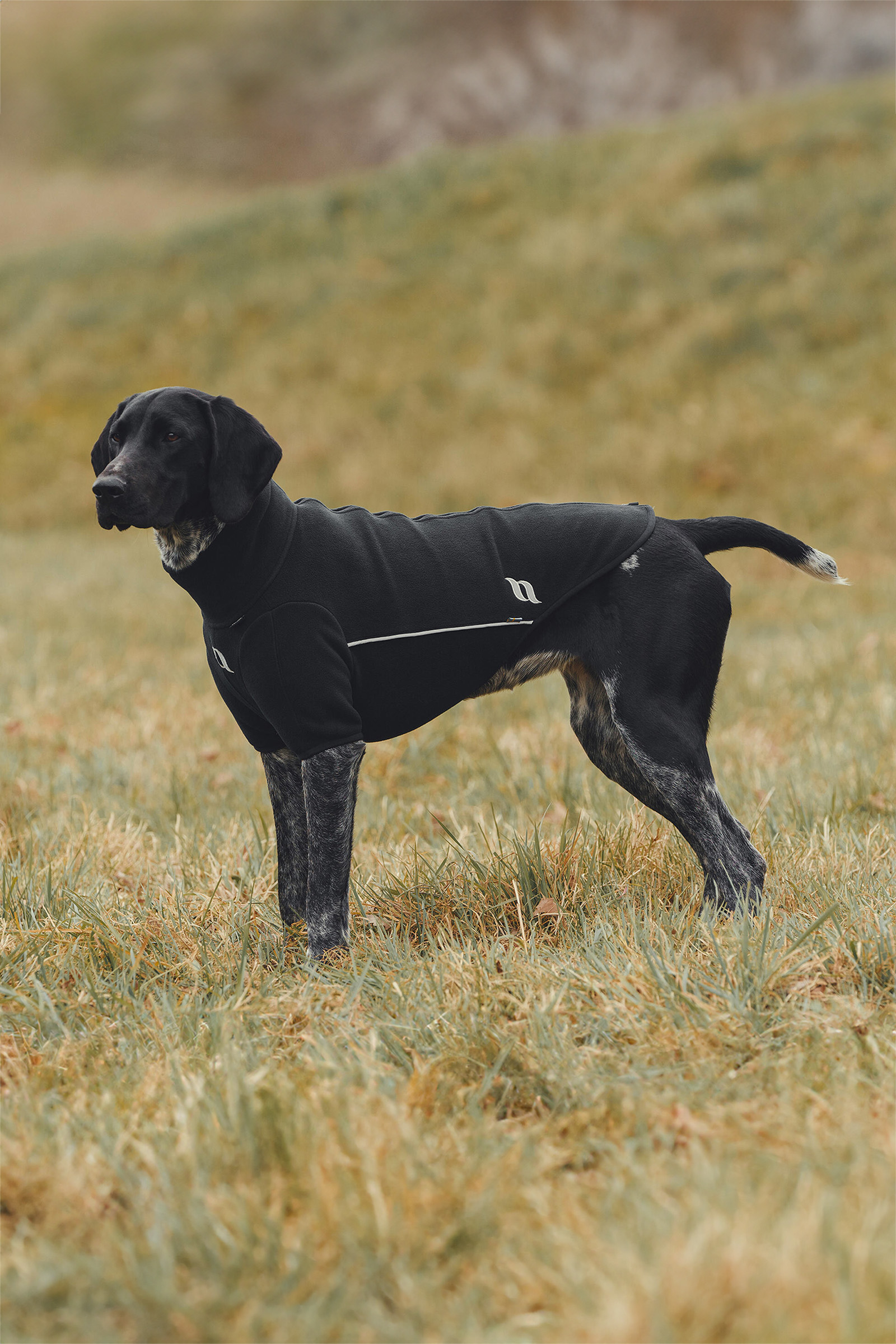 Back on Track Cassie All-Weather Jumper, 45-50 cm