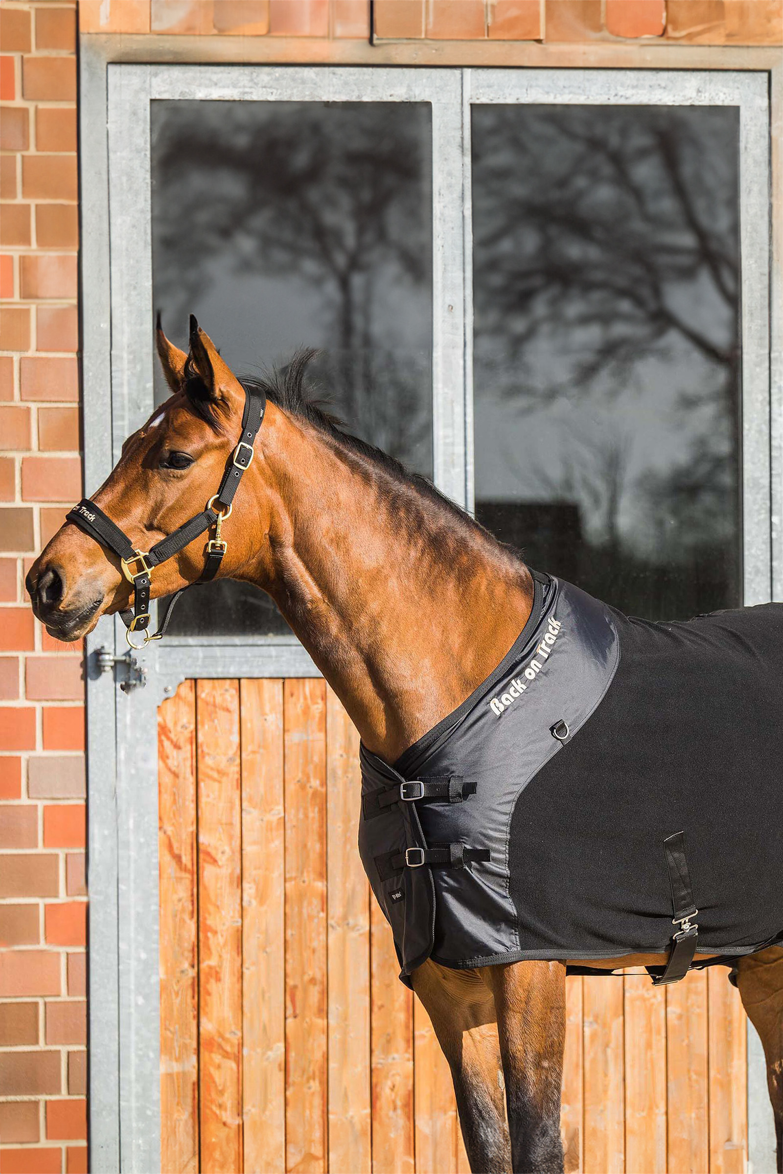 Back on Track Supreme Fleece Rug