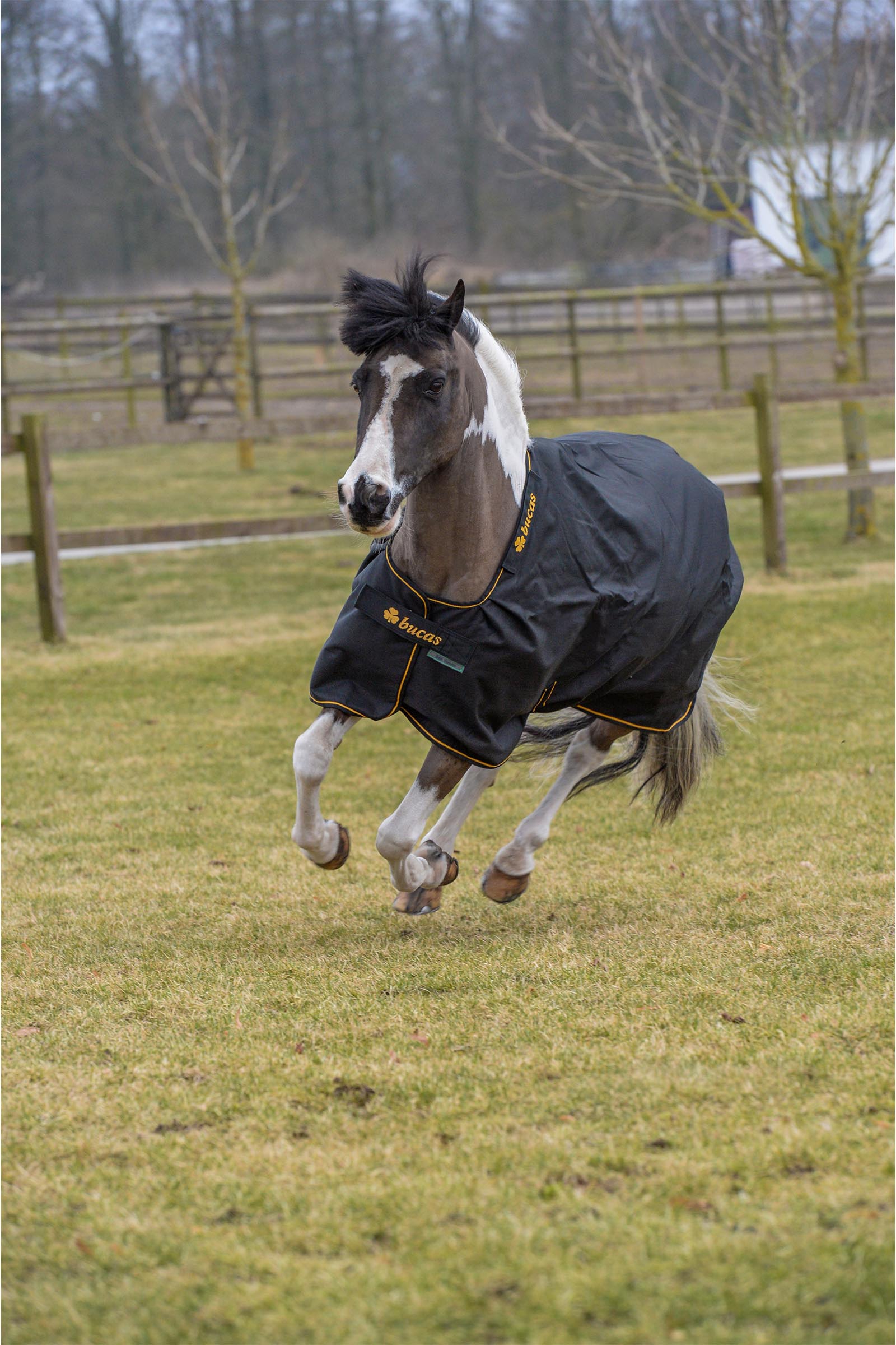 Bucas Irish buitendeken, 100 g