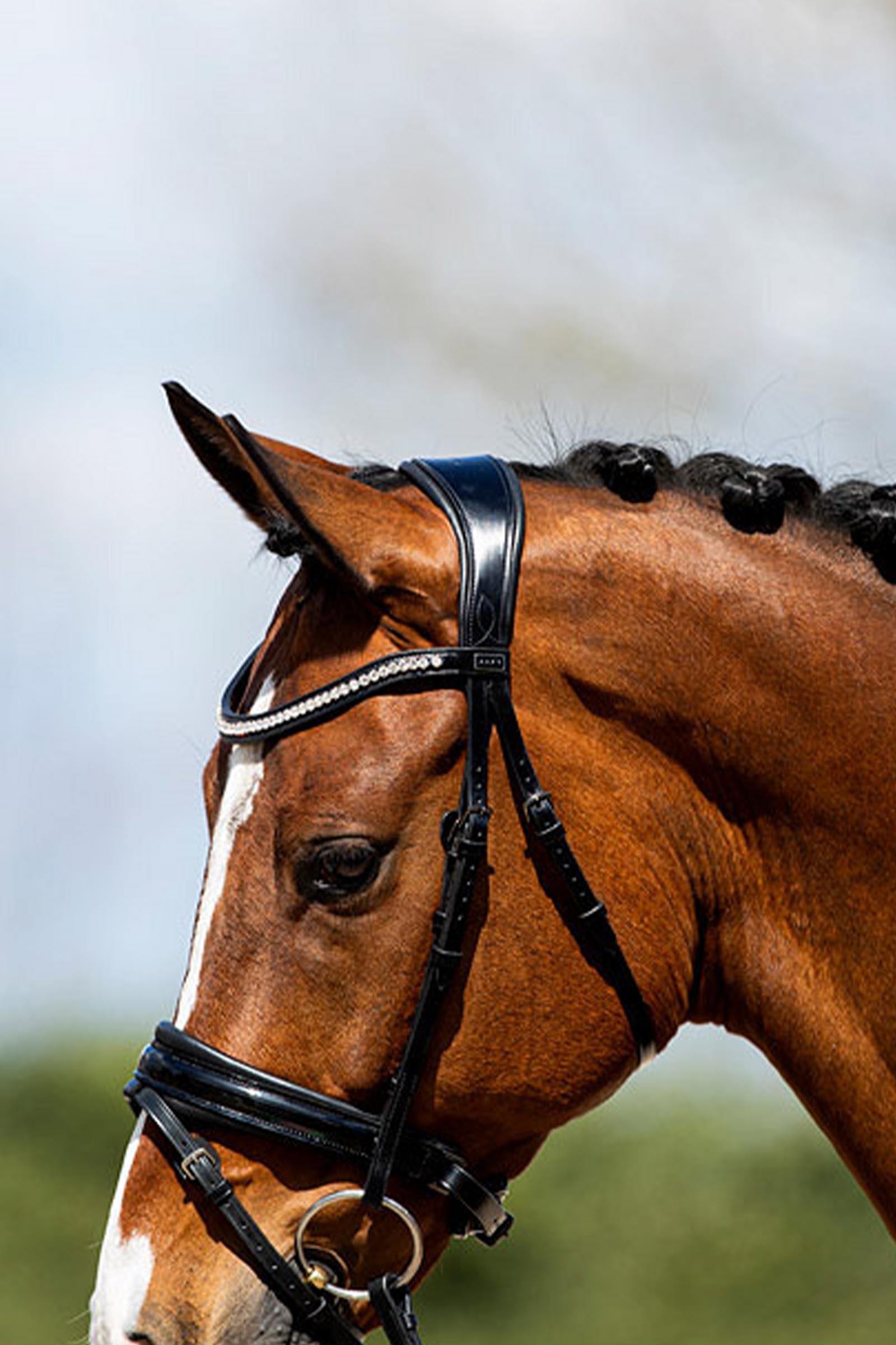 ANKY Anatomic Hoofdstel van Lakleer met Zachte Vulling
