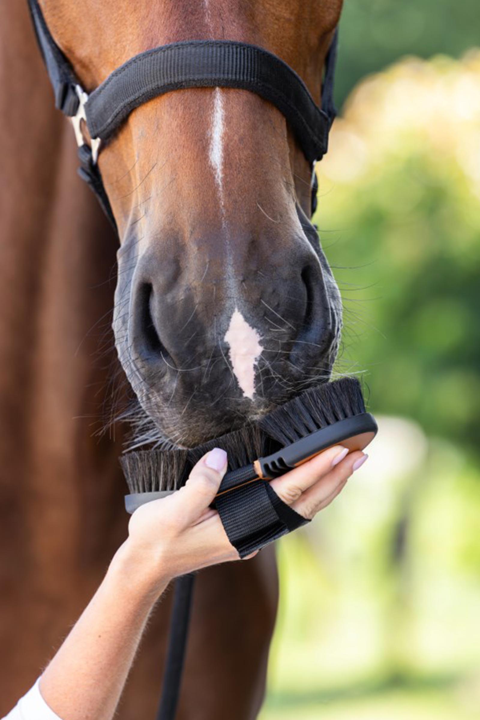 Covalliero Flex 2K HorseHair