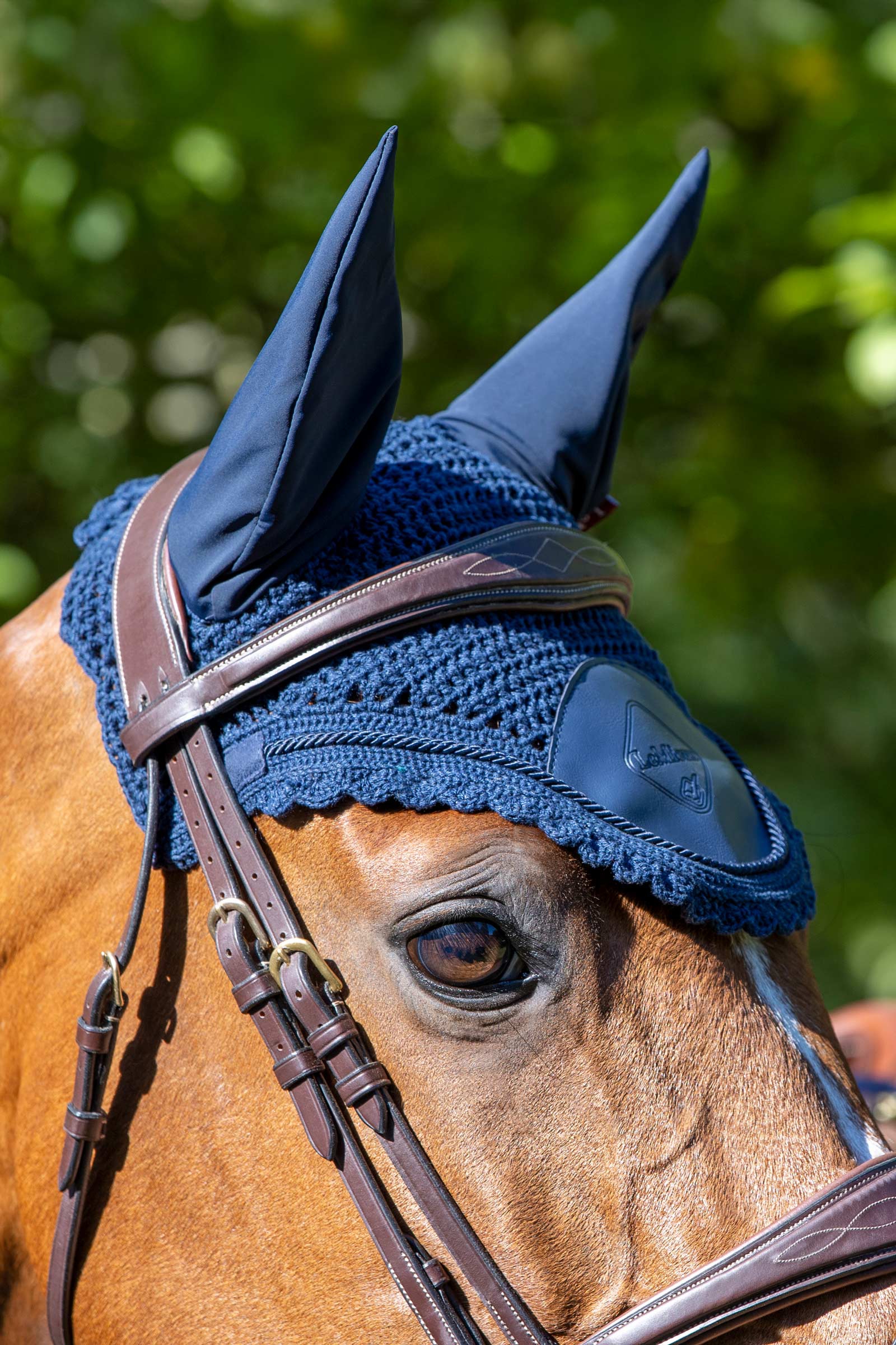 LeMieux Elite oornetje