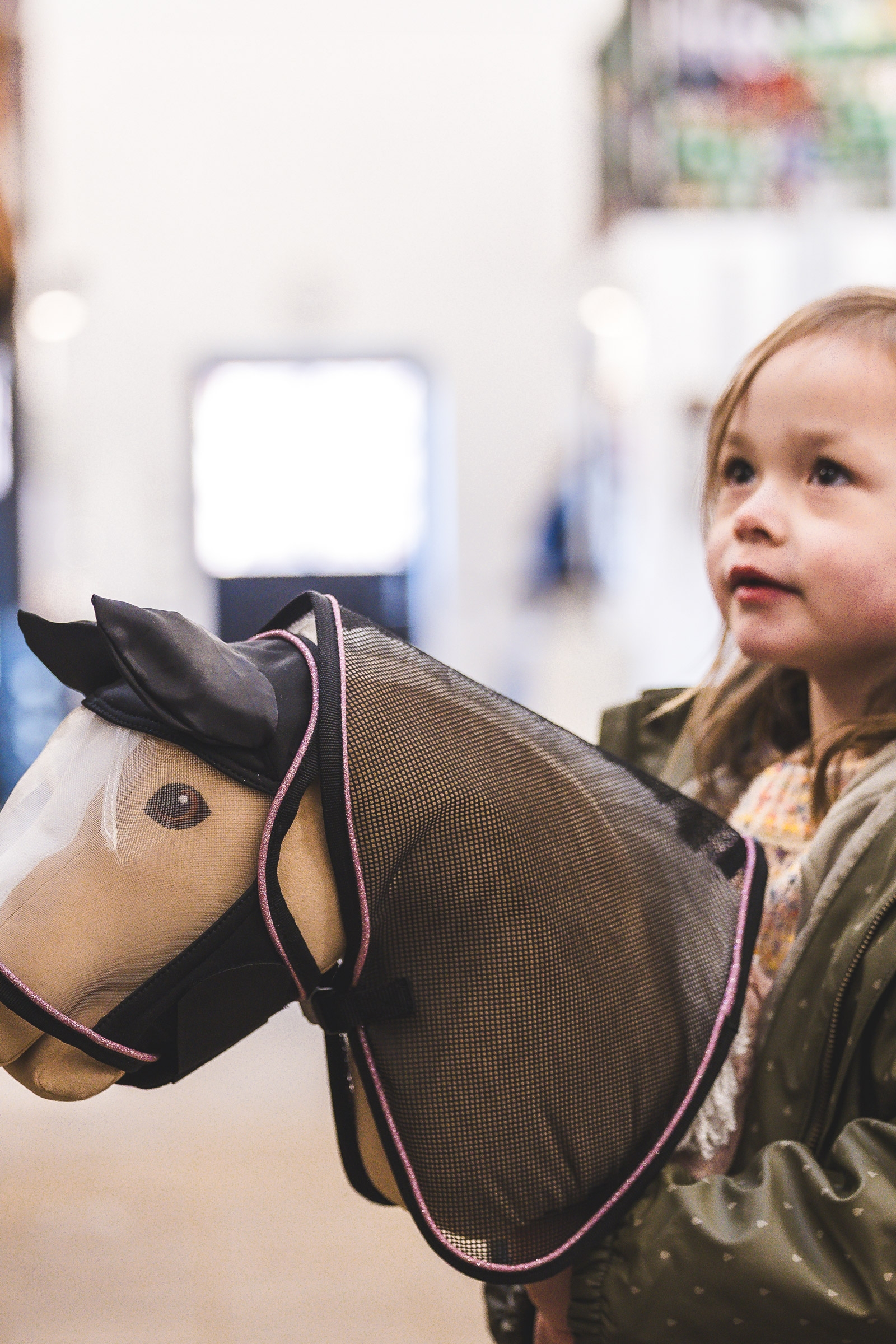 My Hobby Horse insecten vliegendeken