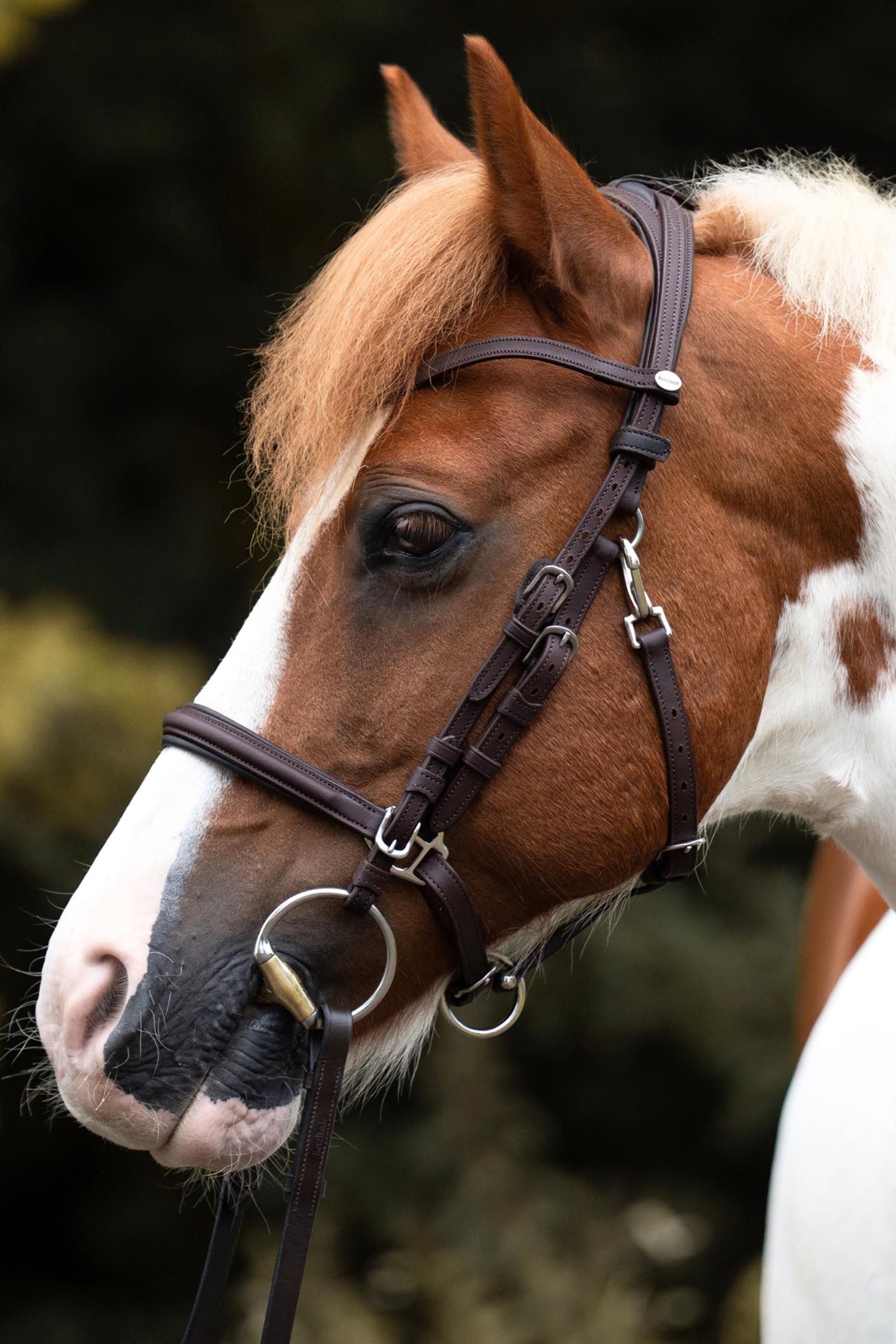 Kavalkade Artemis trektocht hoofdstel