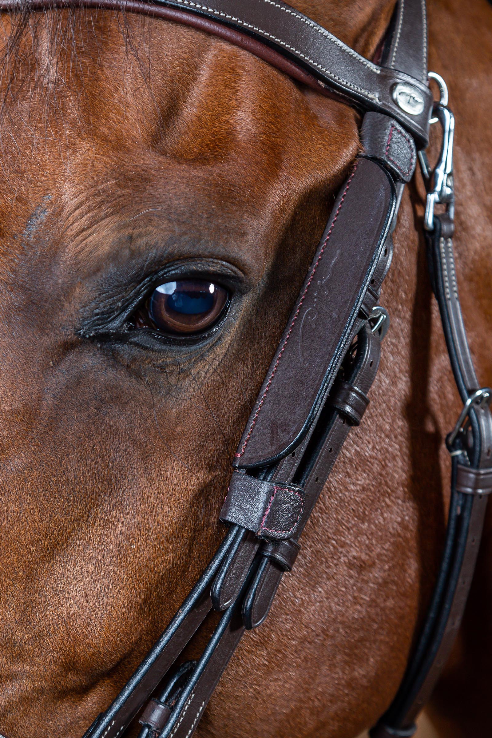 Dy'on Working mini oogkleppen