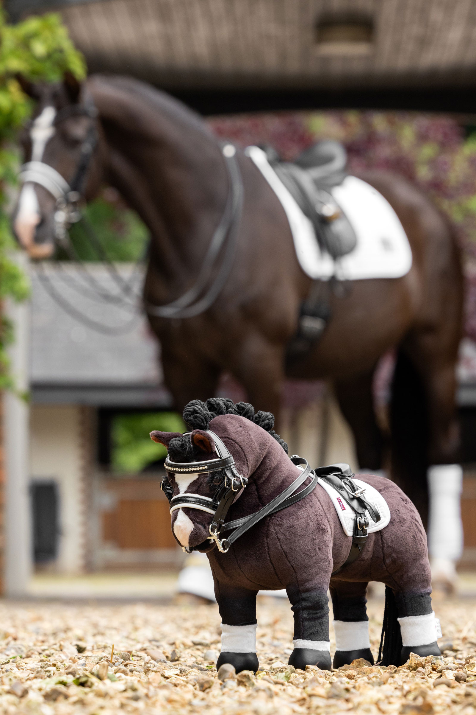 LeMieux Toy Pony dubbele hoofdstel