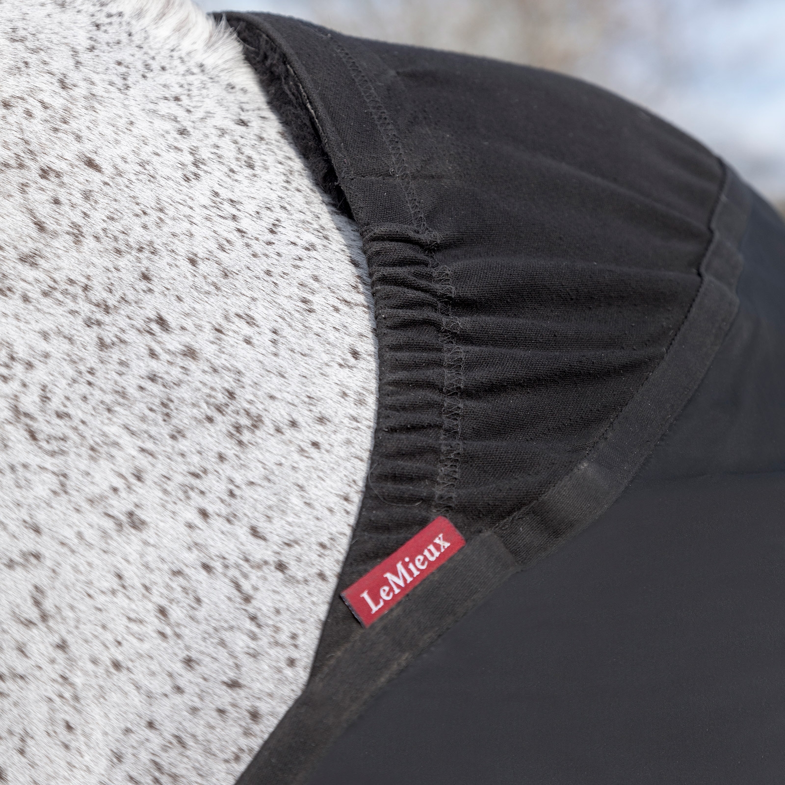 LeMieux Anti-wrijving borstbeschermer