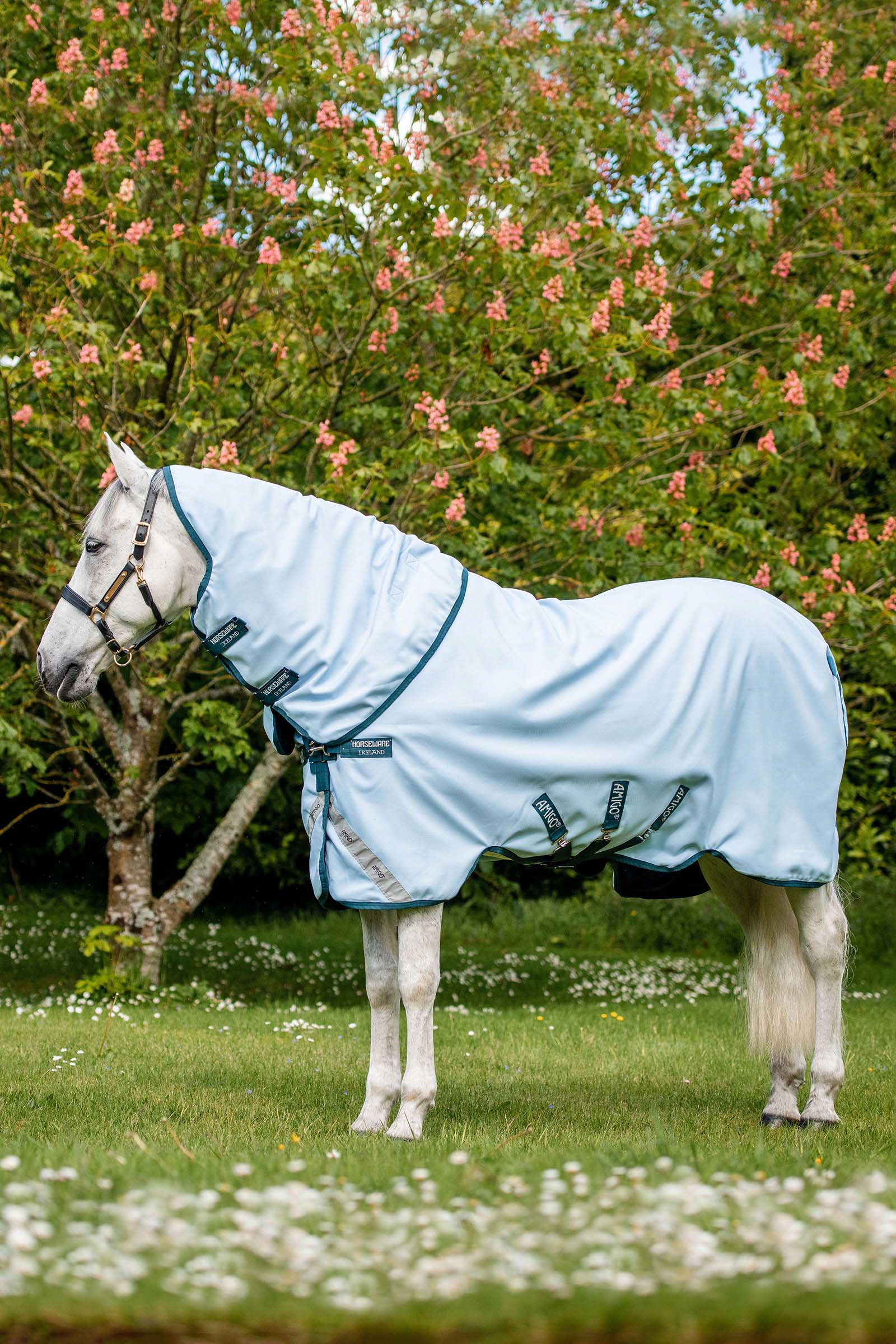 Horseware Amigo Plant Dye Turnout deken, 50 gram