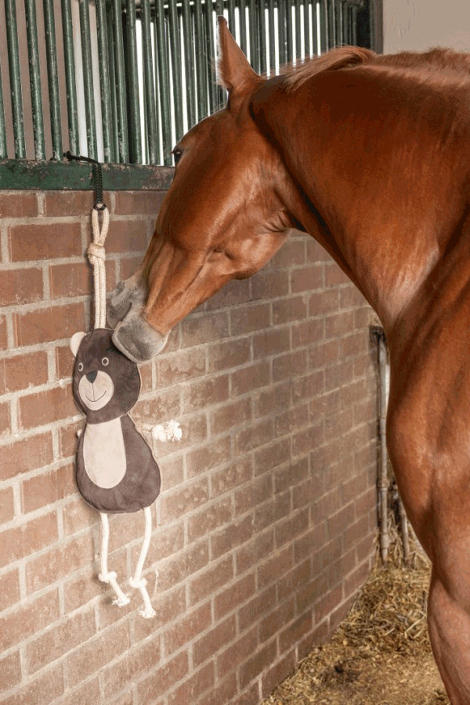 Kerbl Paardenspeelgoed Beer