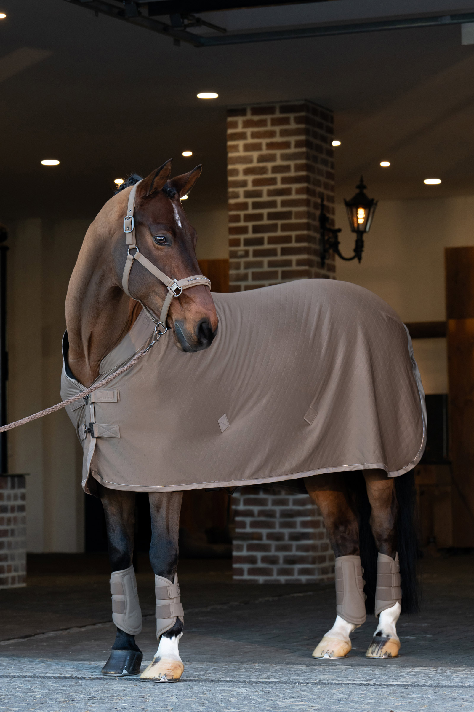 Eskadron Platinum 25 Peesbeschermers van kunstleer