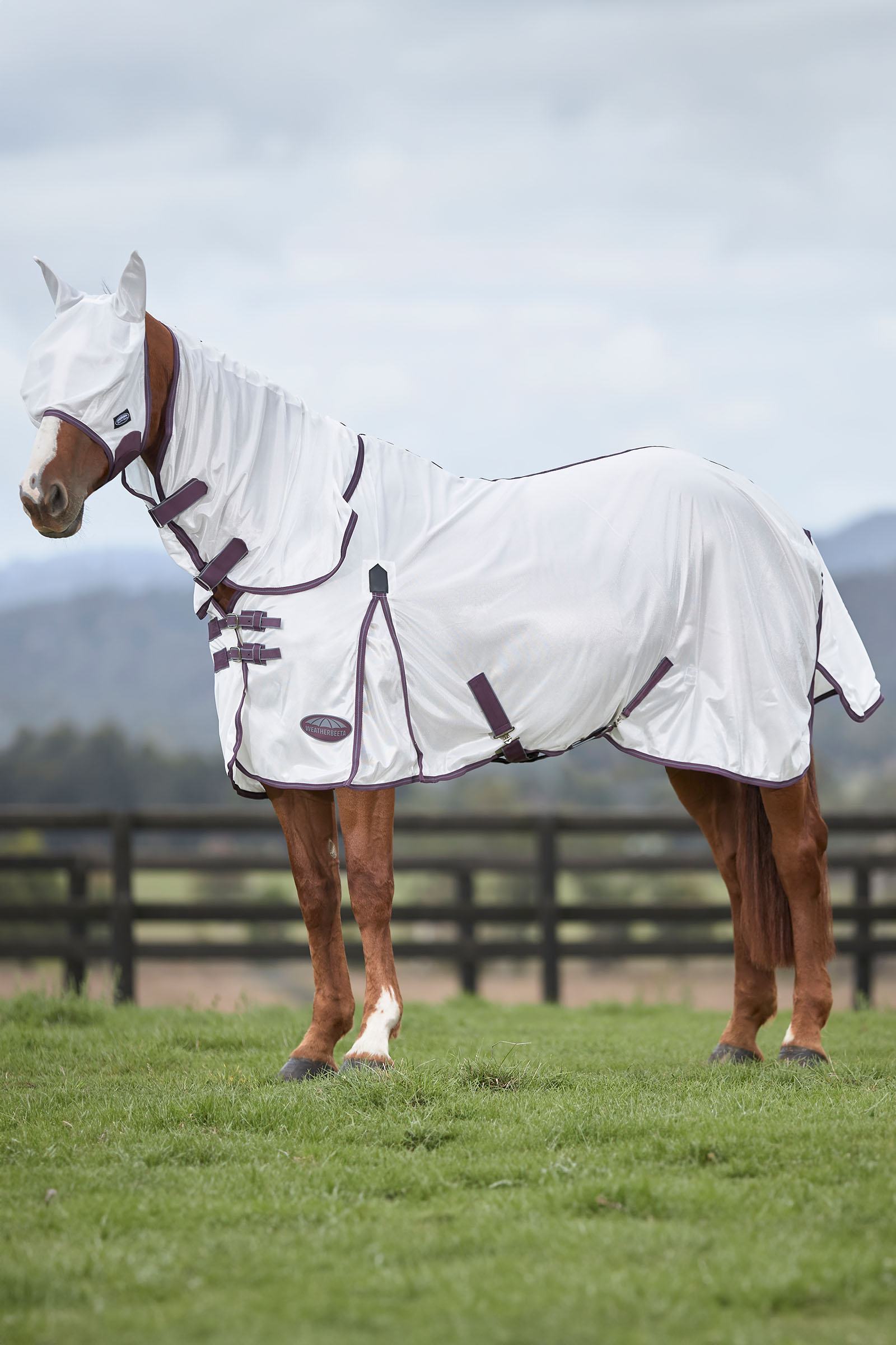 Weatherbeeta Comfitec Essential meshmasker