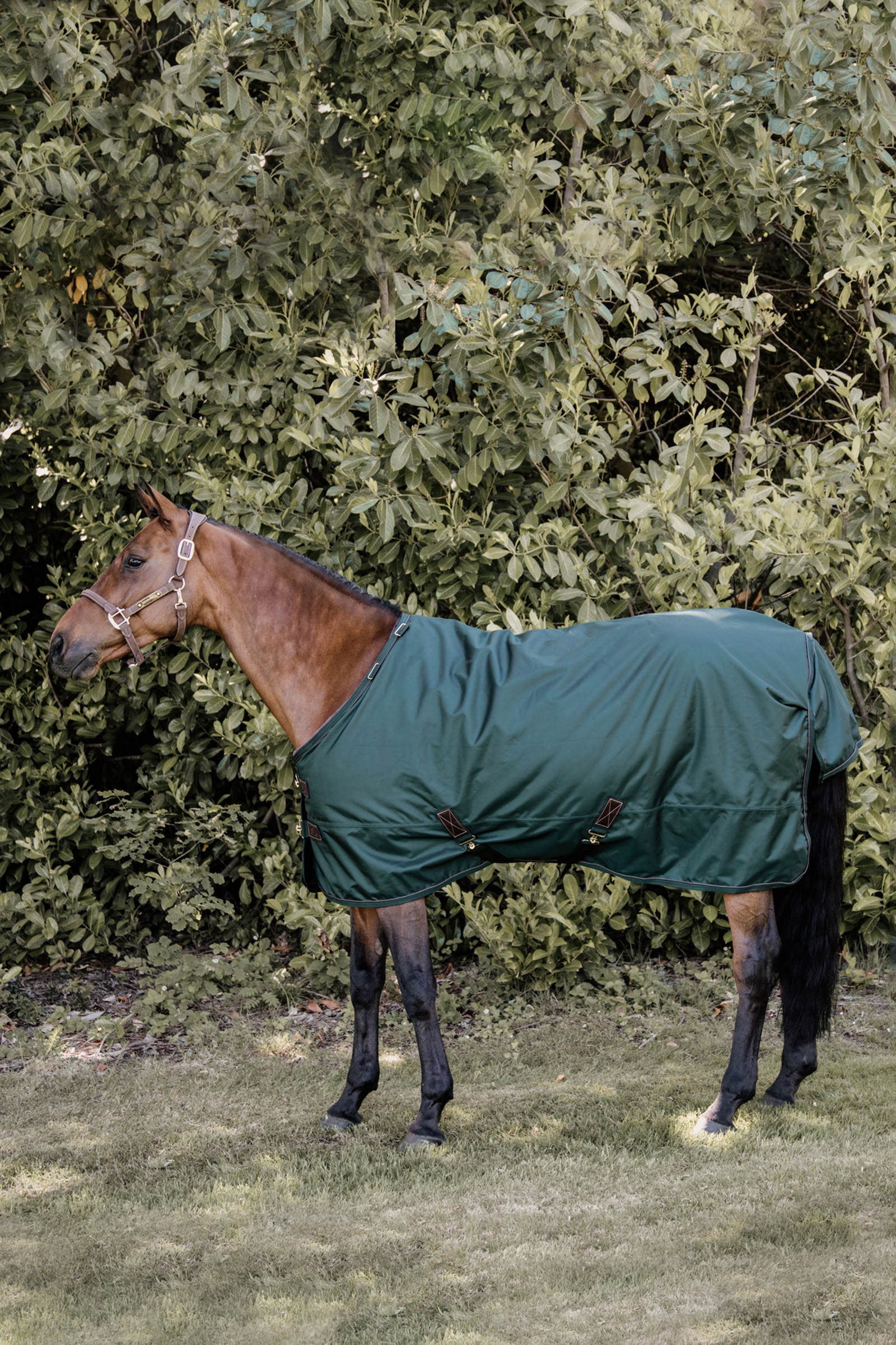 Kentucky Horsewear All Weather Paardendeken, 160 gram