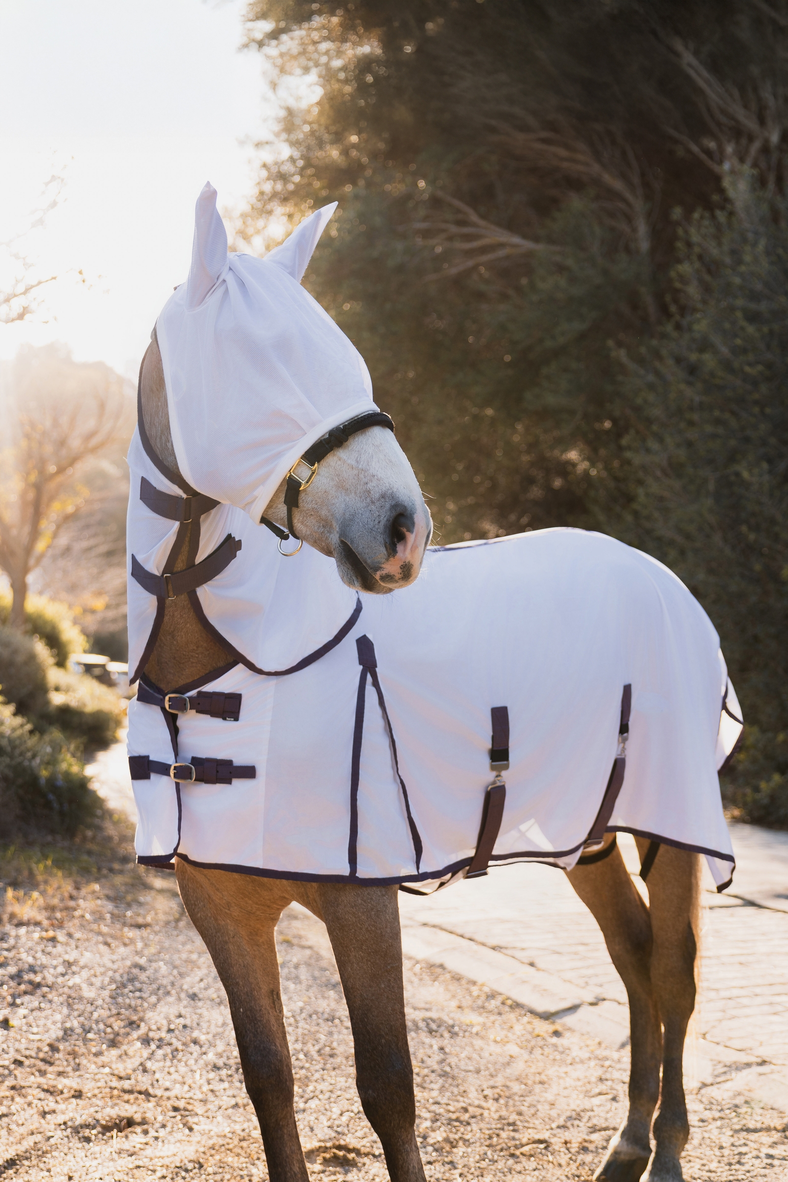 Horze La Paz Vliegenset met deken, afneembare hals en masker