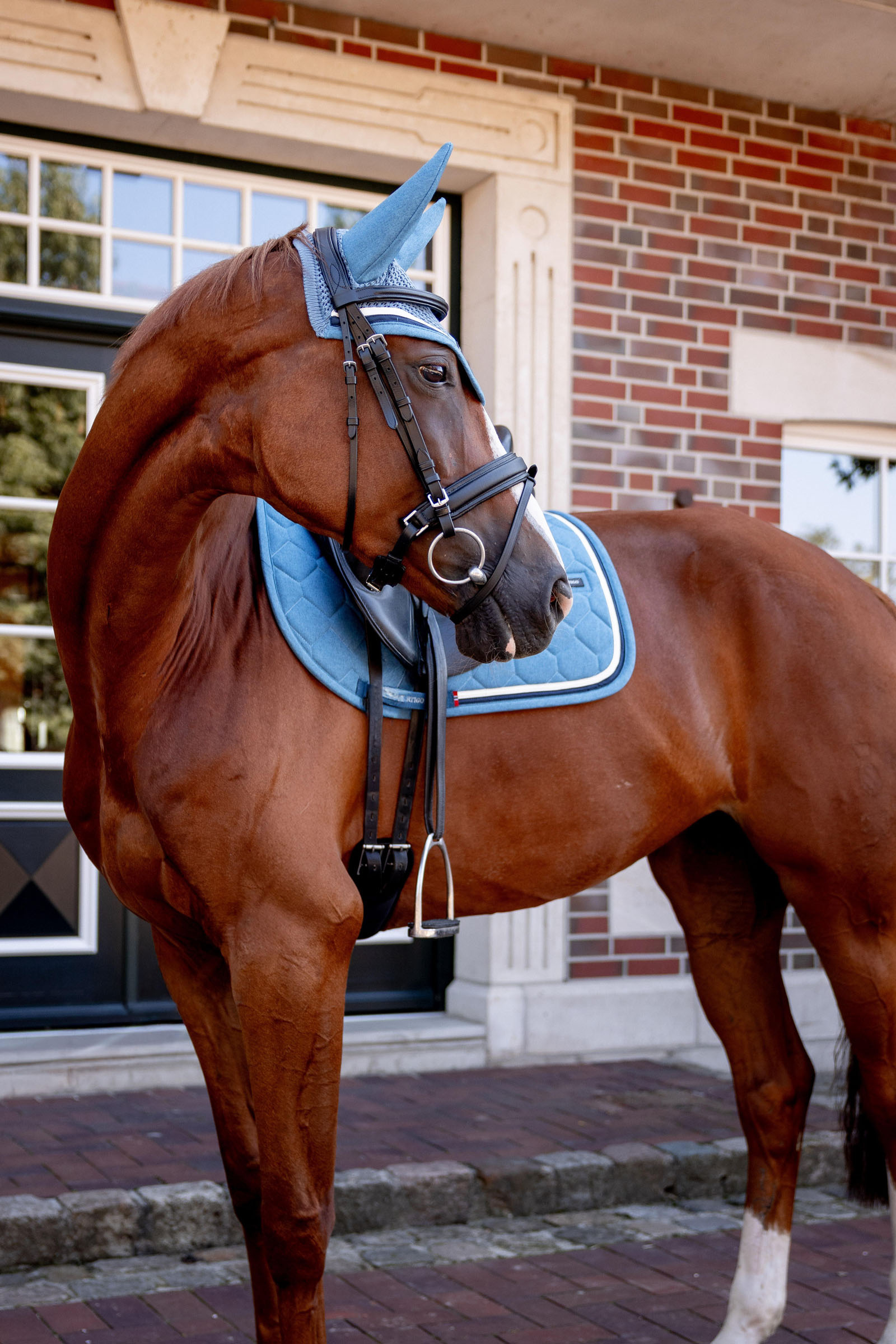 B Vertigo High Altitude dressuurzadeldek