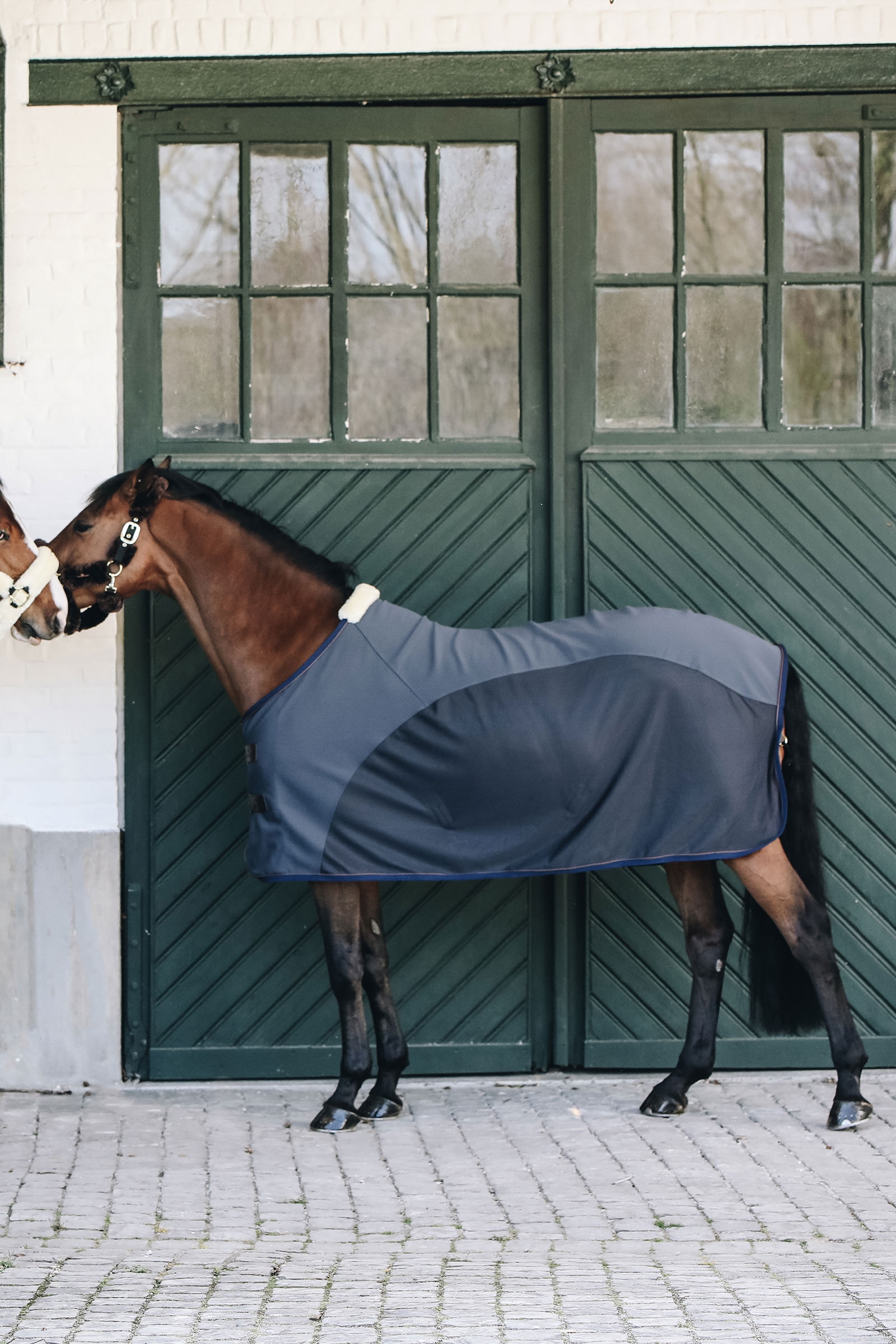 Kentucky Horsewear Cooler Softshell sheet