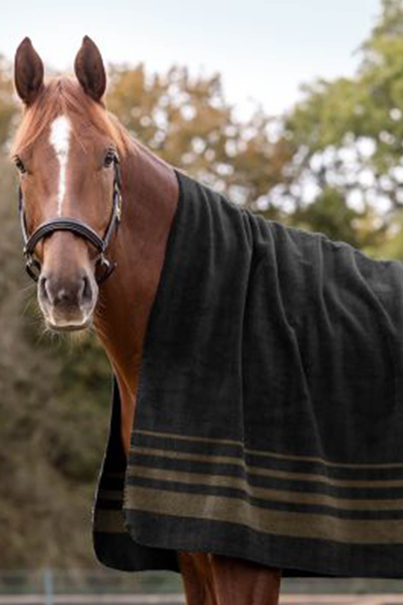 Waldhausen S&ouml;lden fleecedeken