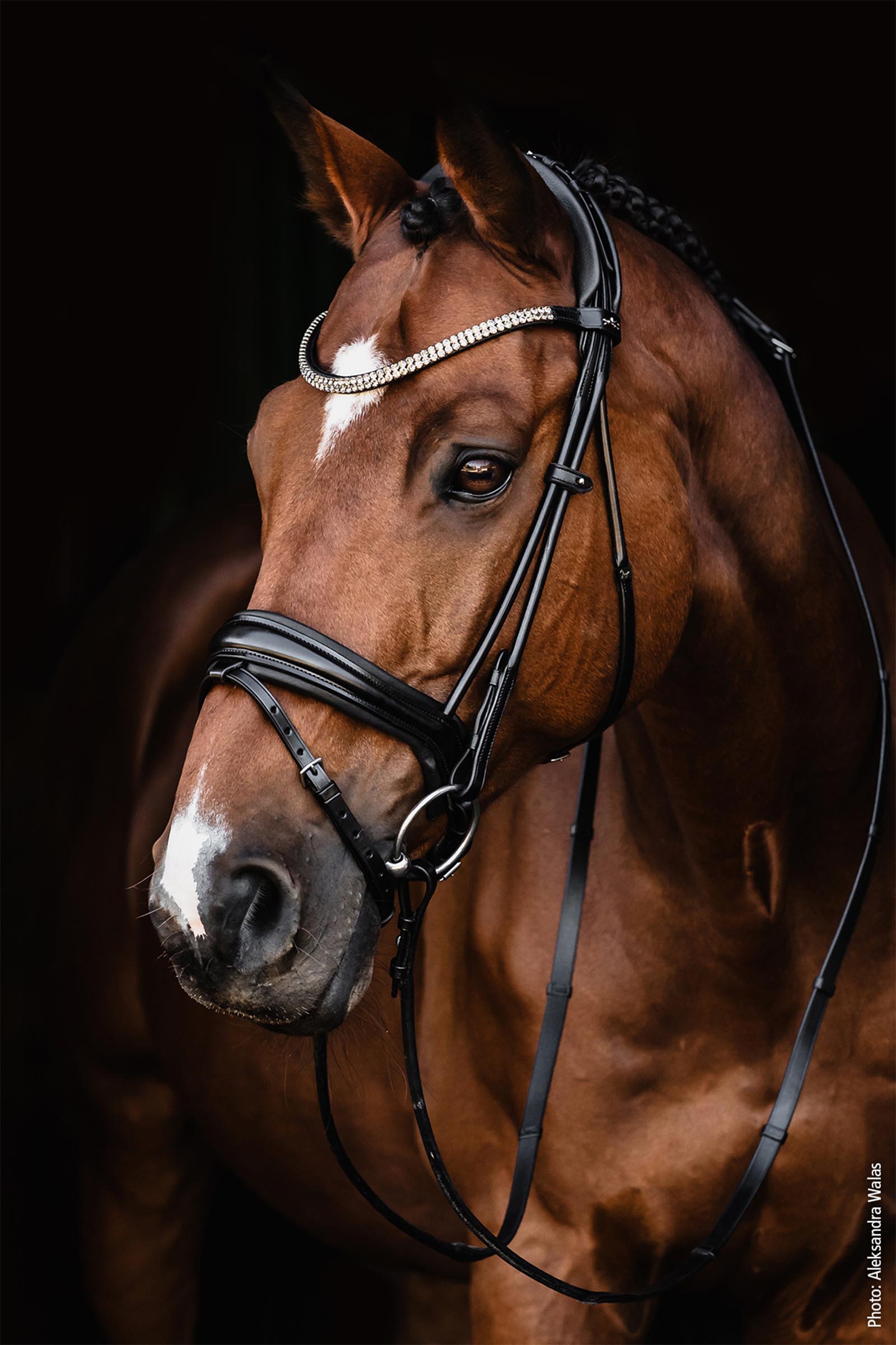 Schockem&ouml;hle Sports Satchmo Bridle - Isabell Werth Collection