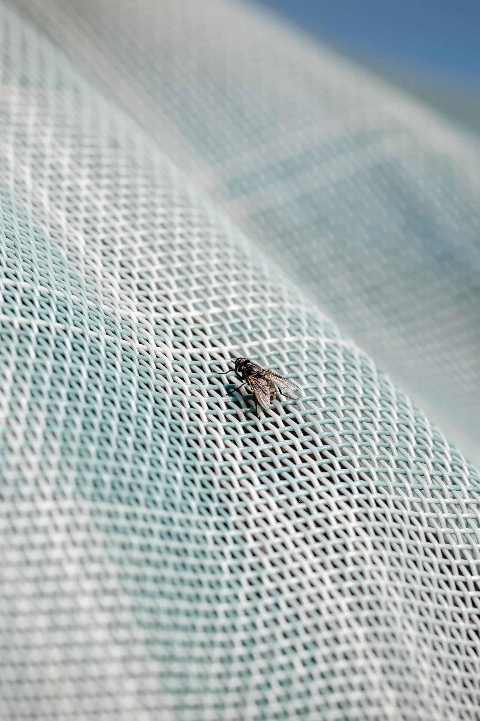 Horseware Newmarket vliegendeken met UV-bescherming