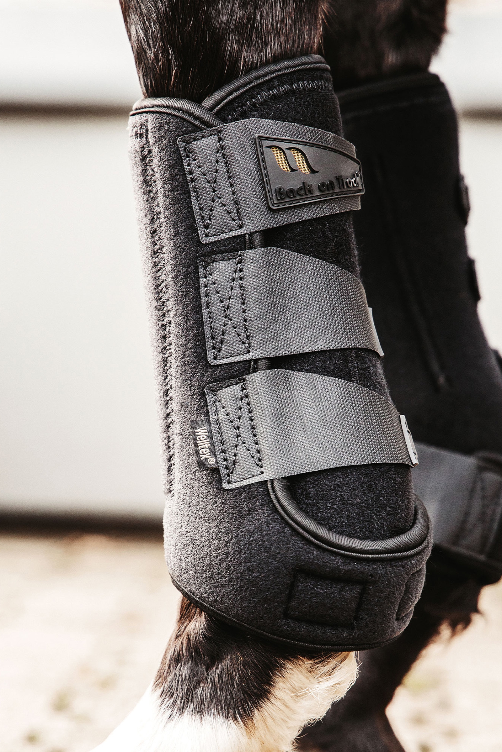 Back on Track Airflow training beenbeschermers