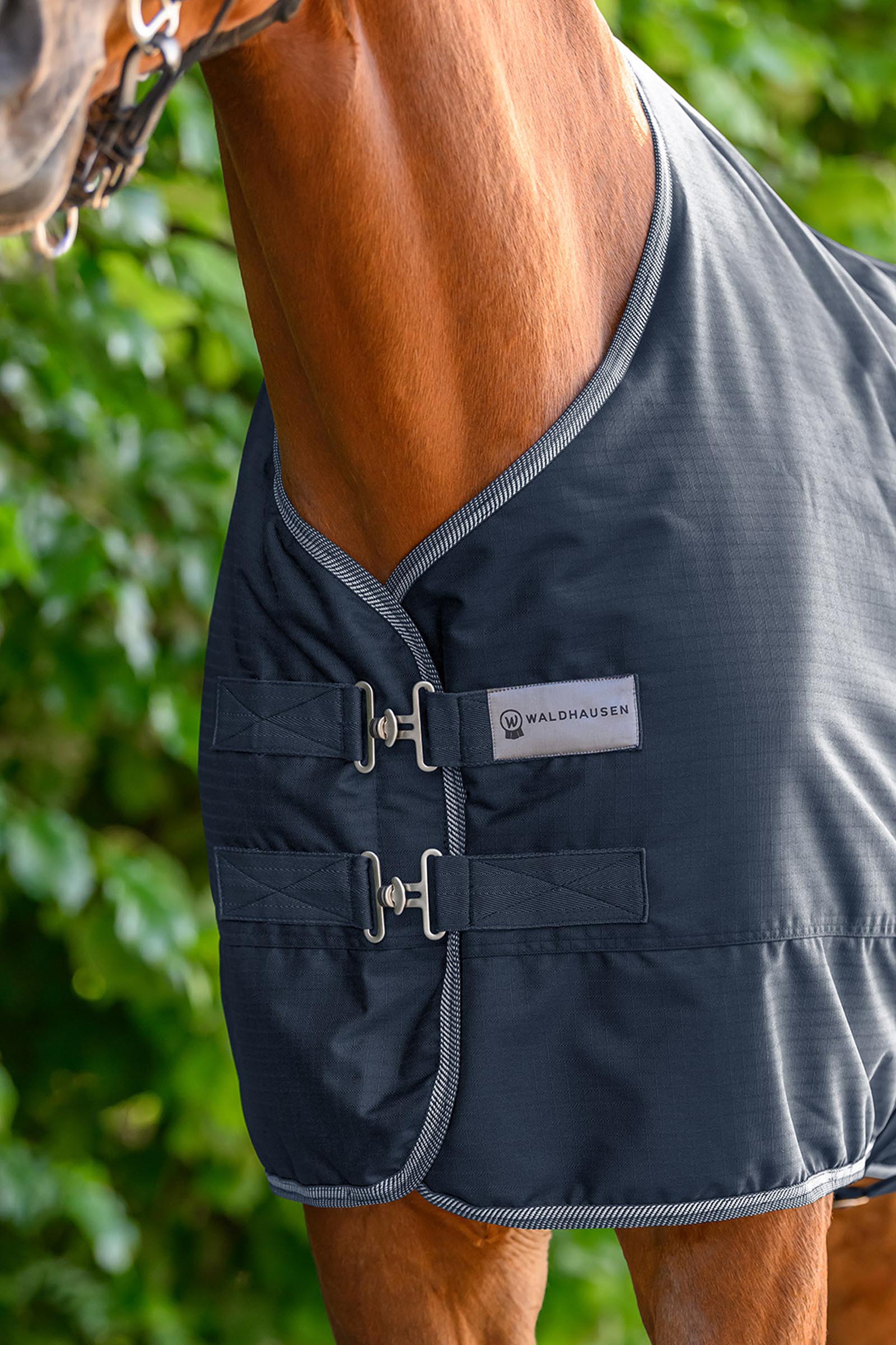 Waldhausen ECONOMIC outdoordeken, 100g