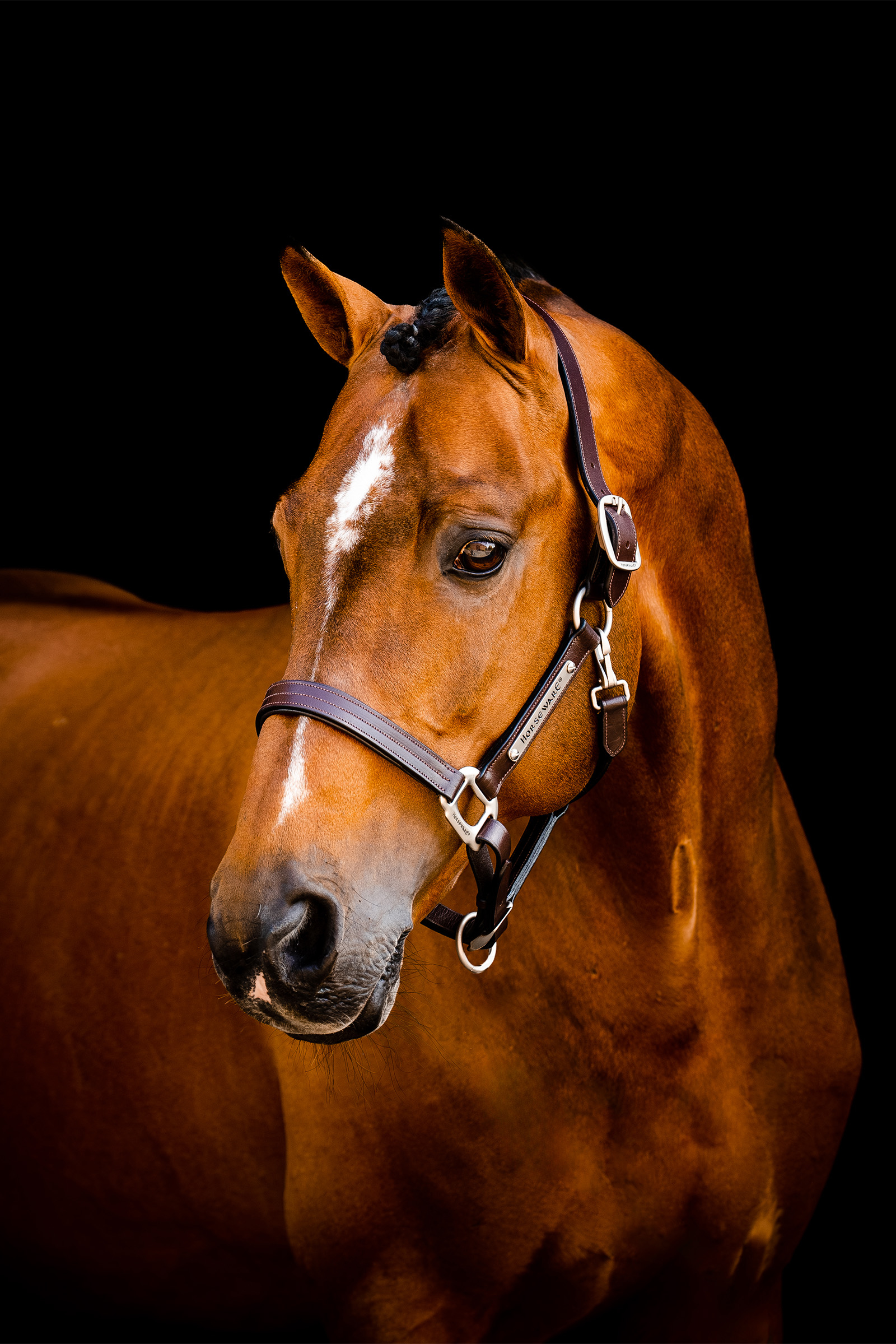 Horseware Handtekening leren halster