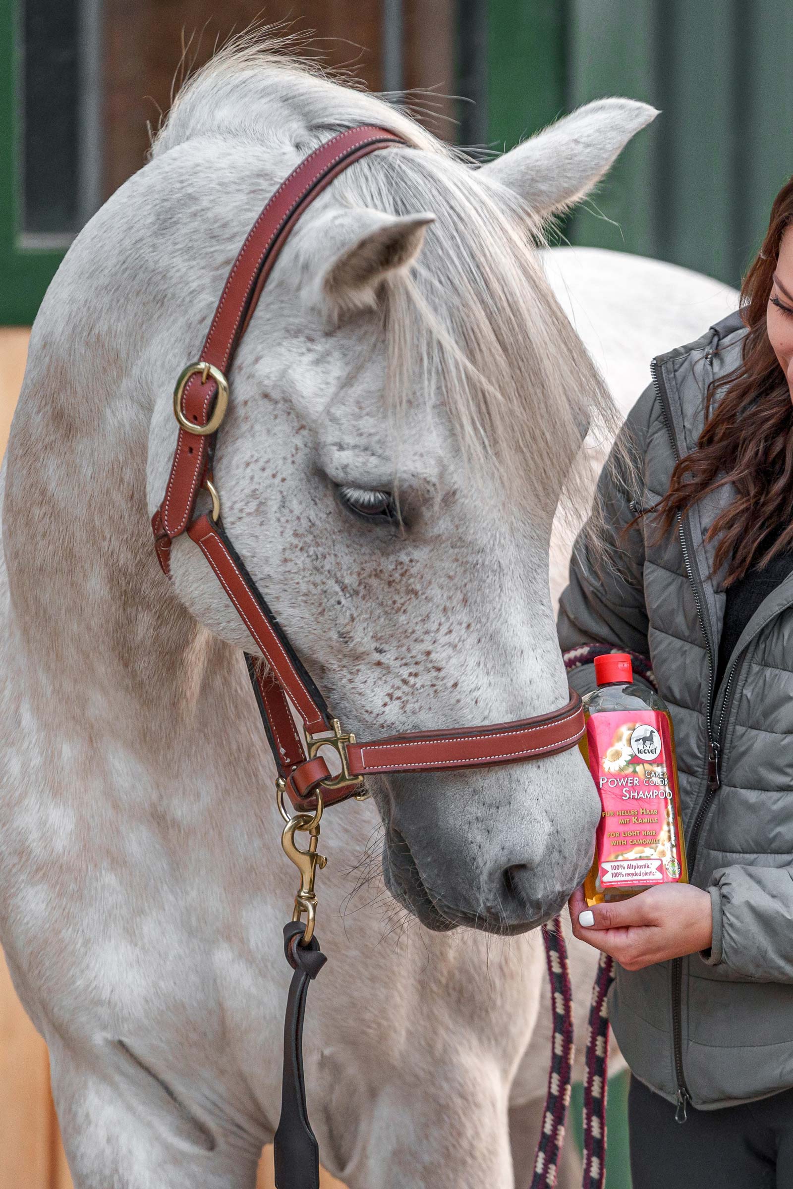 Leovet Power Shampoo med kamille til lyst h&aring;r