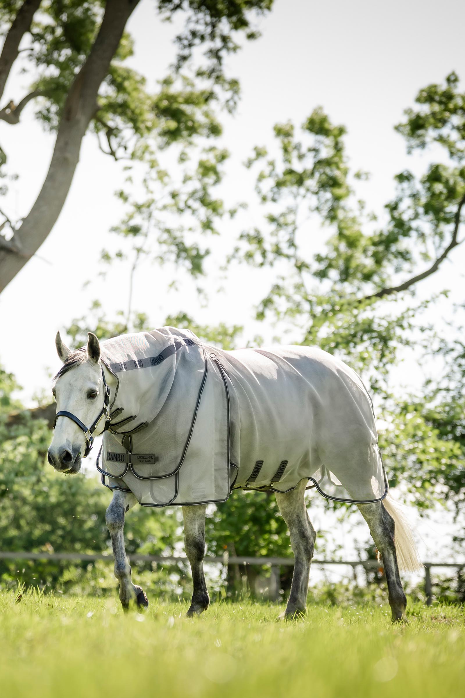 Horseware Rambo Optimo Protector Plus regendeken
