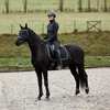 Horze Adepto Dressuurzadeldek