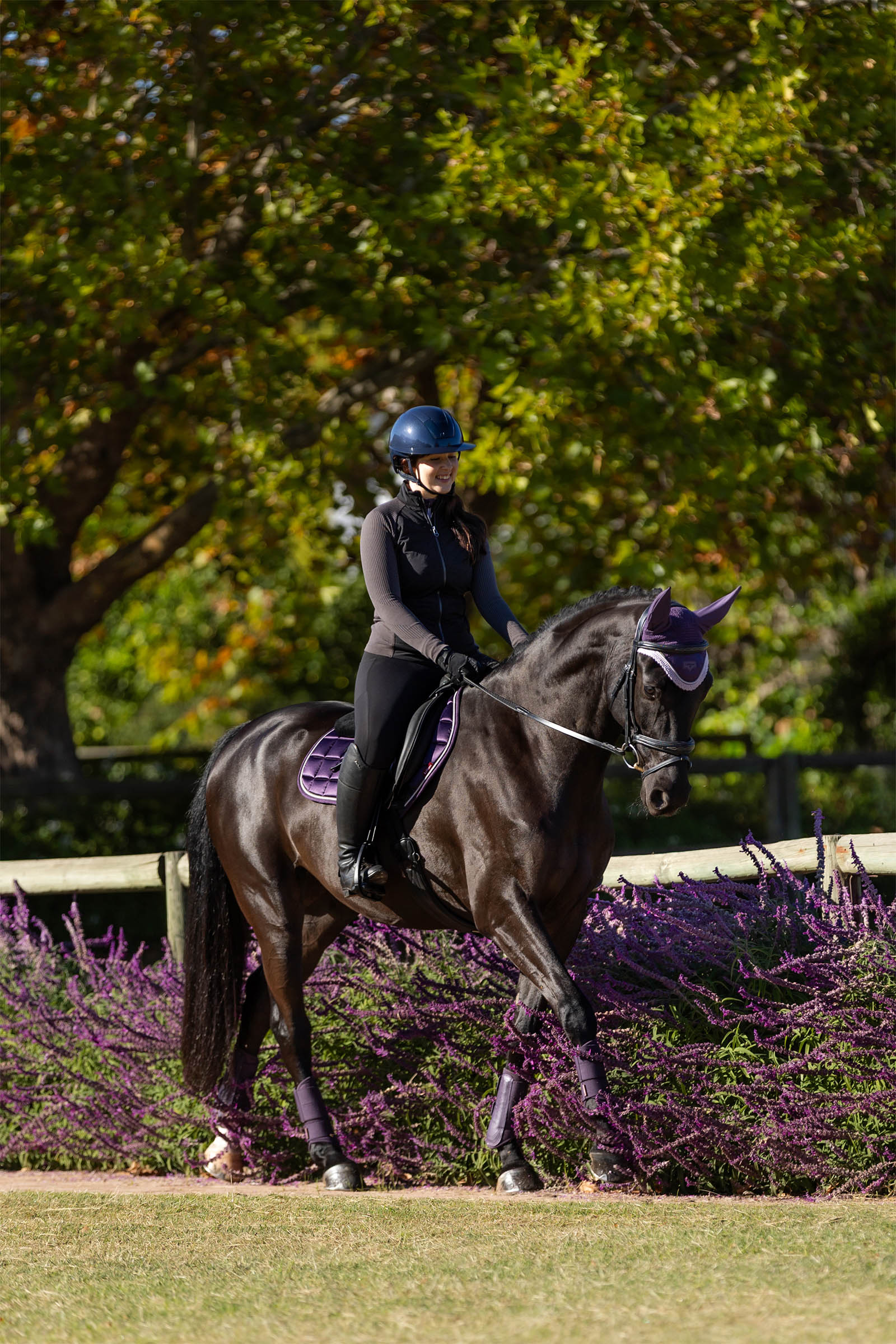 LeMieux Merino+ Loire klassiek Close Contact zadeldek