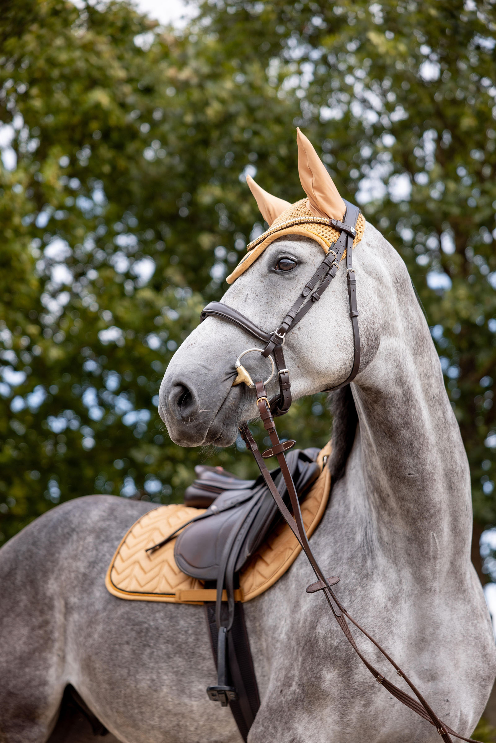 Horze Del&eacute;mont oornetje