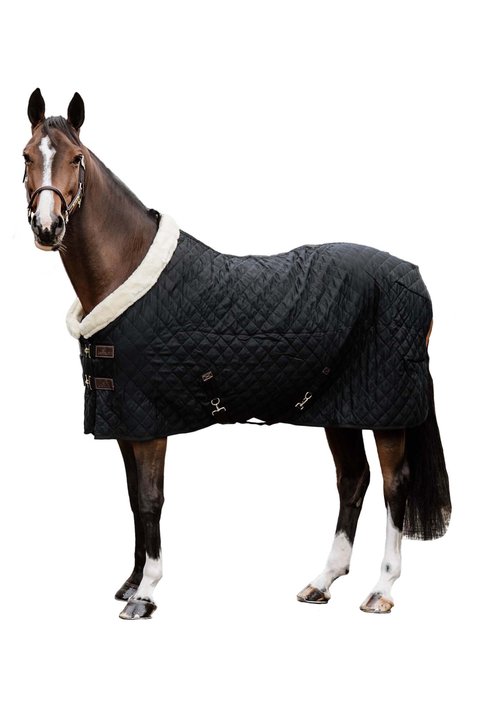 Kentucky Horsewear Showdeken 160g