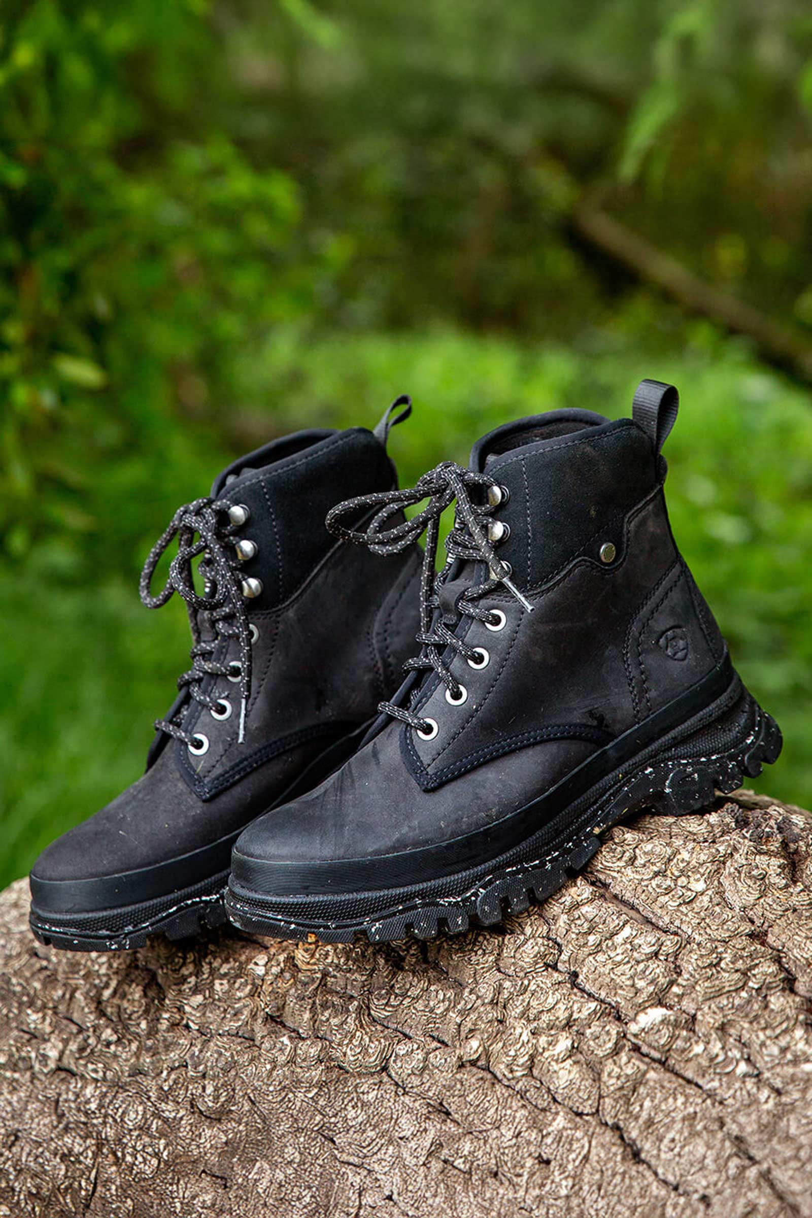 Ariat Moresby H2O Dames waterdichte veterschoenen