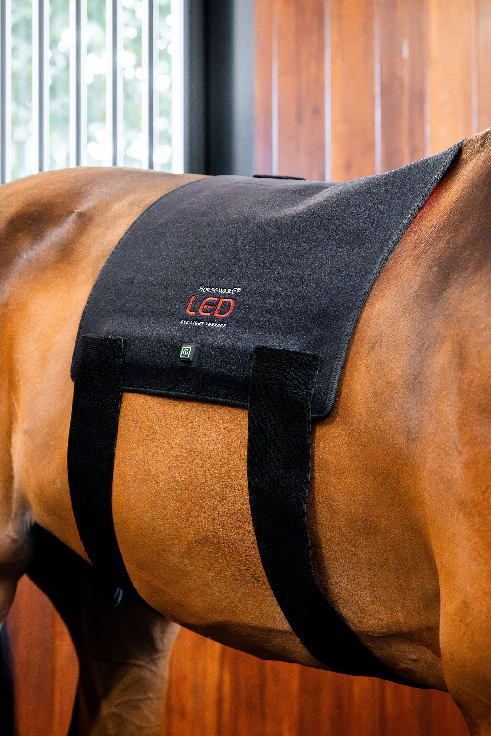 Horseware LED roodlichttherapie Pad