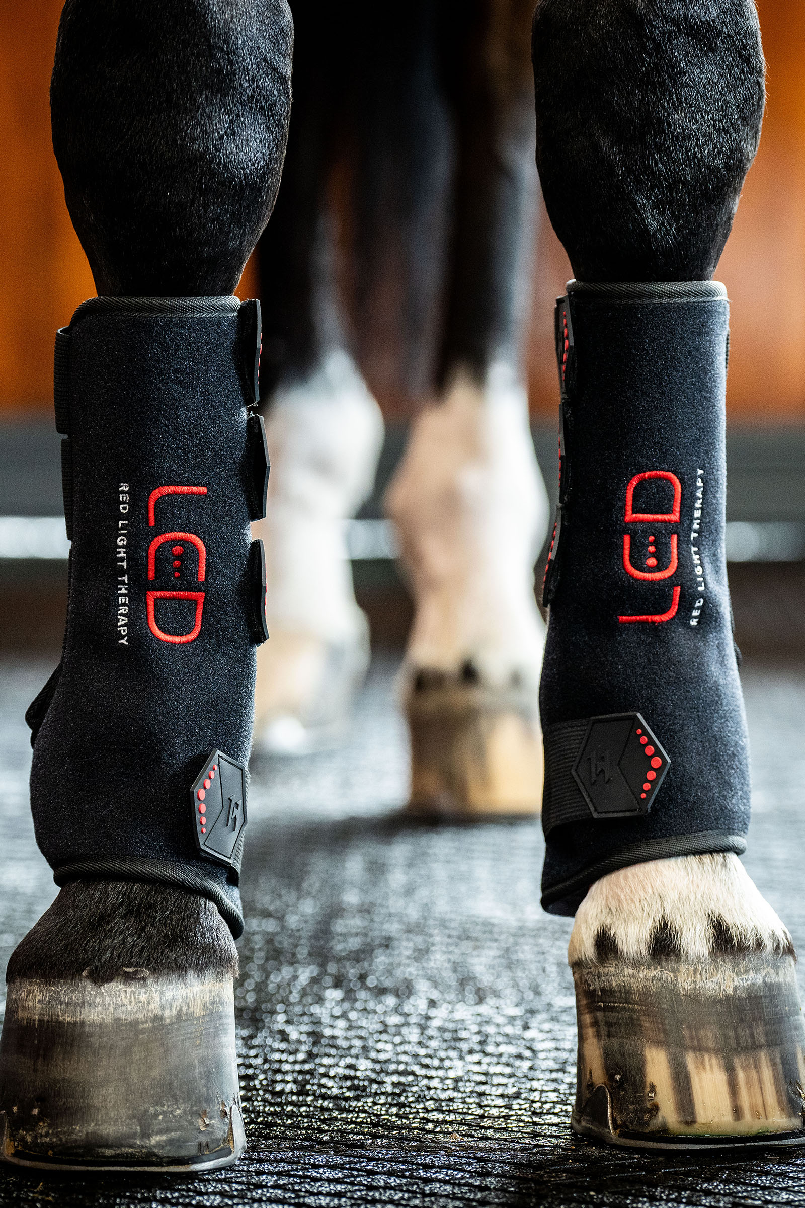 Horseware LED roodlichttherapie beenbeschermer (1 st.)