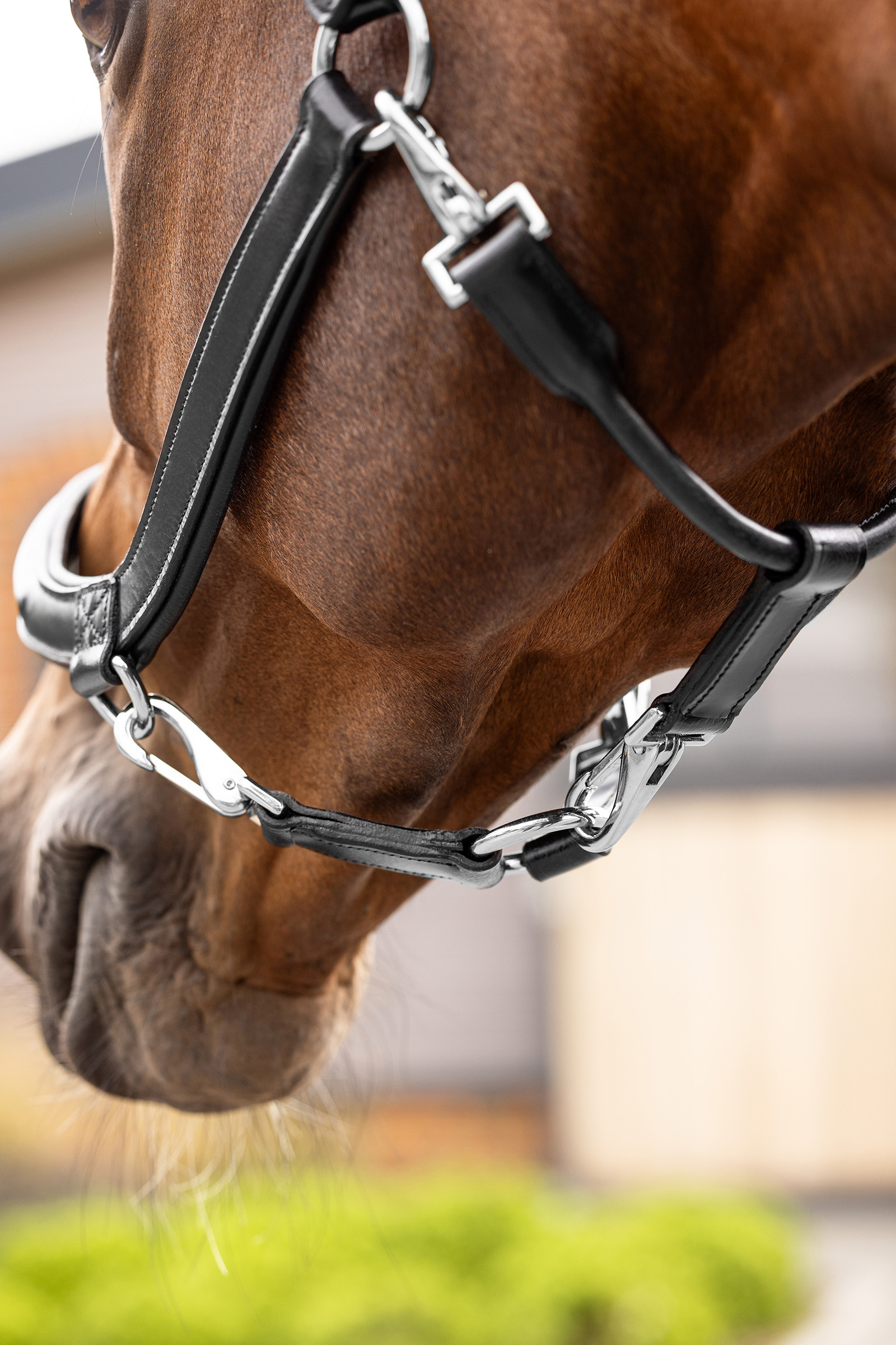 LeMieux Leather Grooming Headcollar