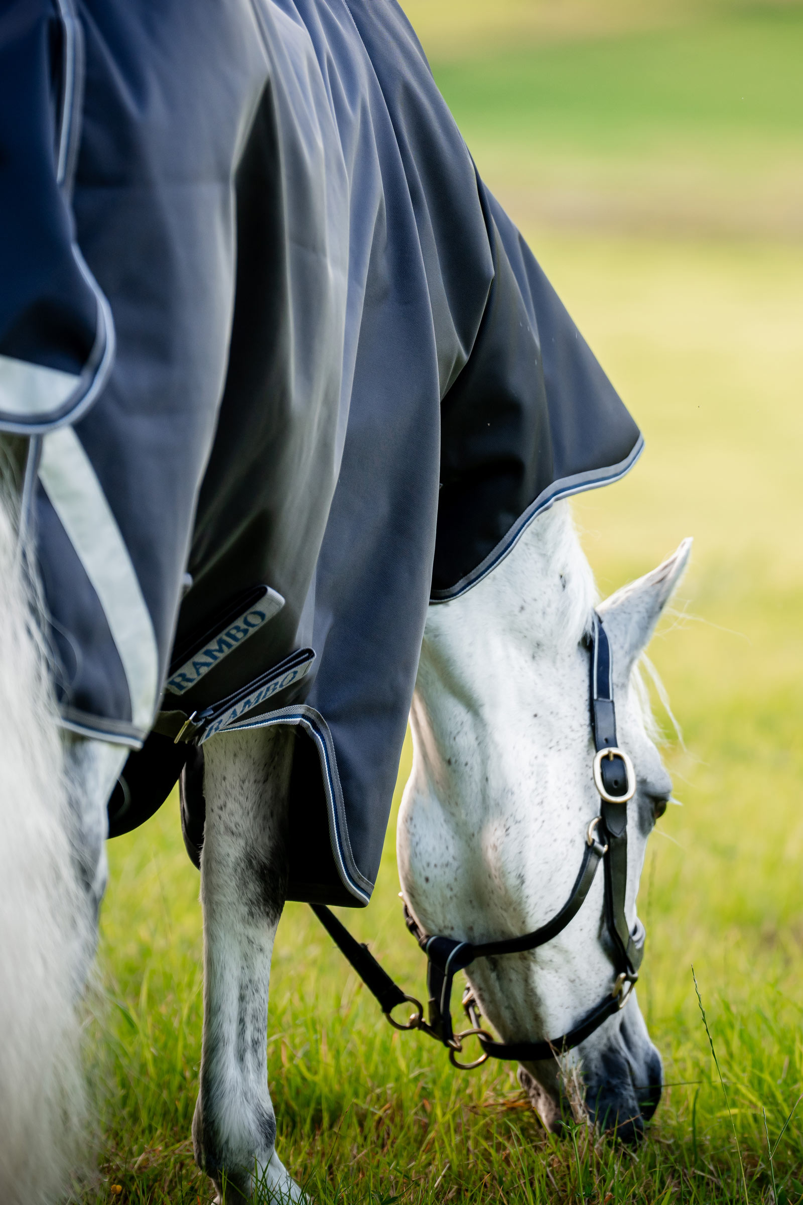 Horseware Rambo 1680D Plus Vario Layer turnoutdeken, 250 g