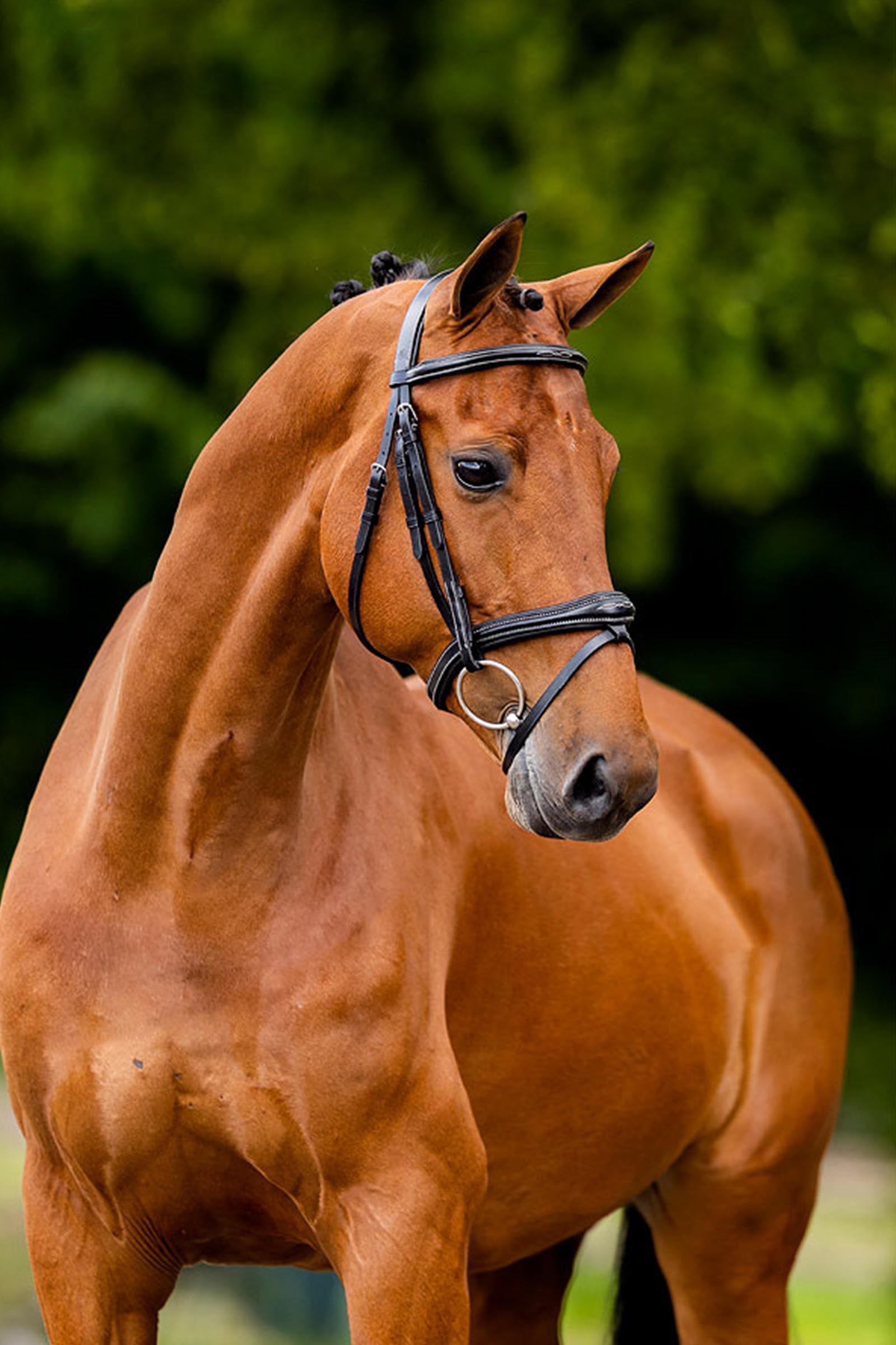 BR Cheltenham hoofdstel