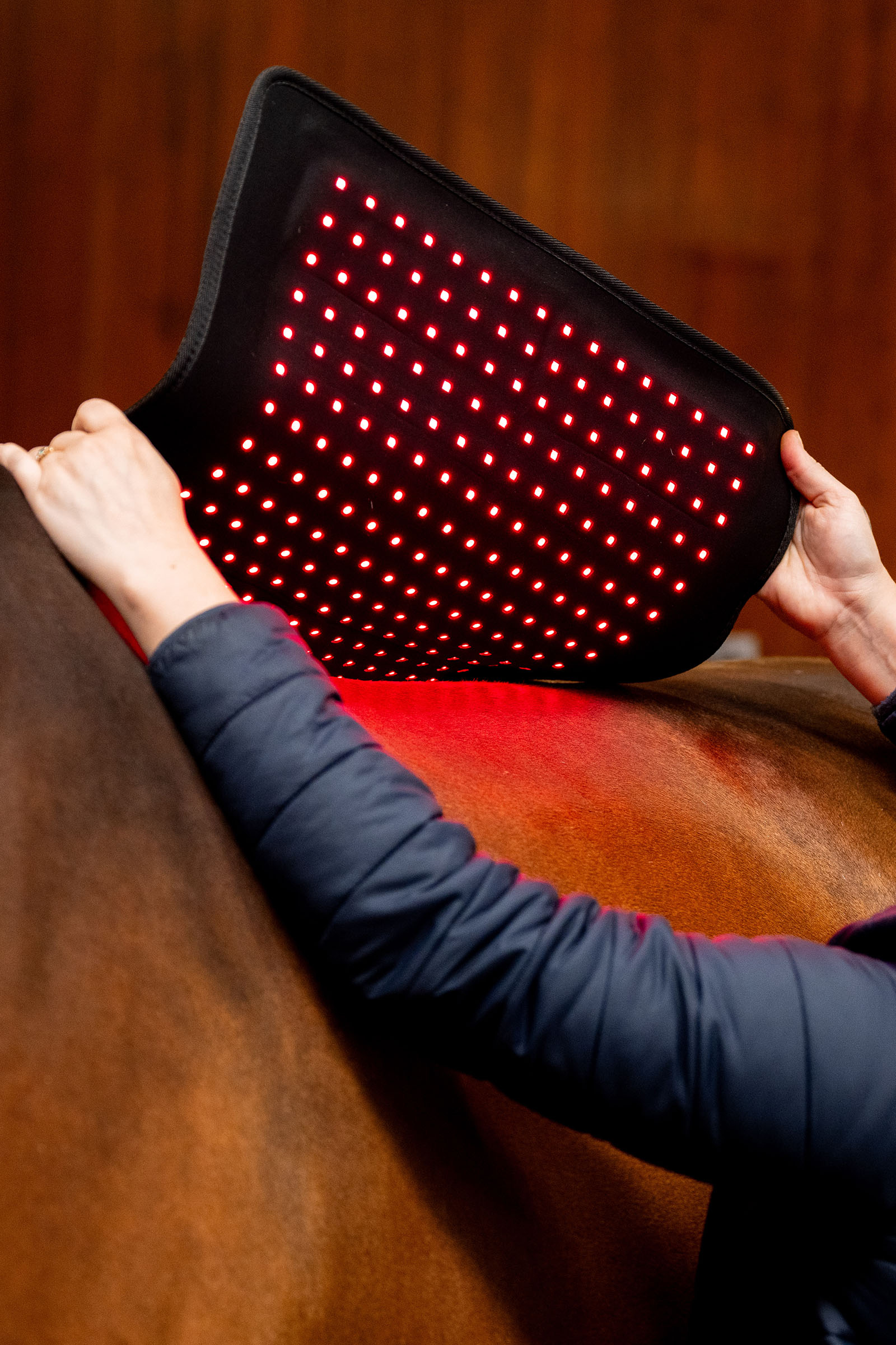 Horseware LED roodlichttherapie Pad